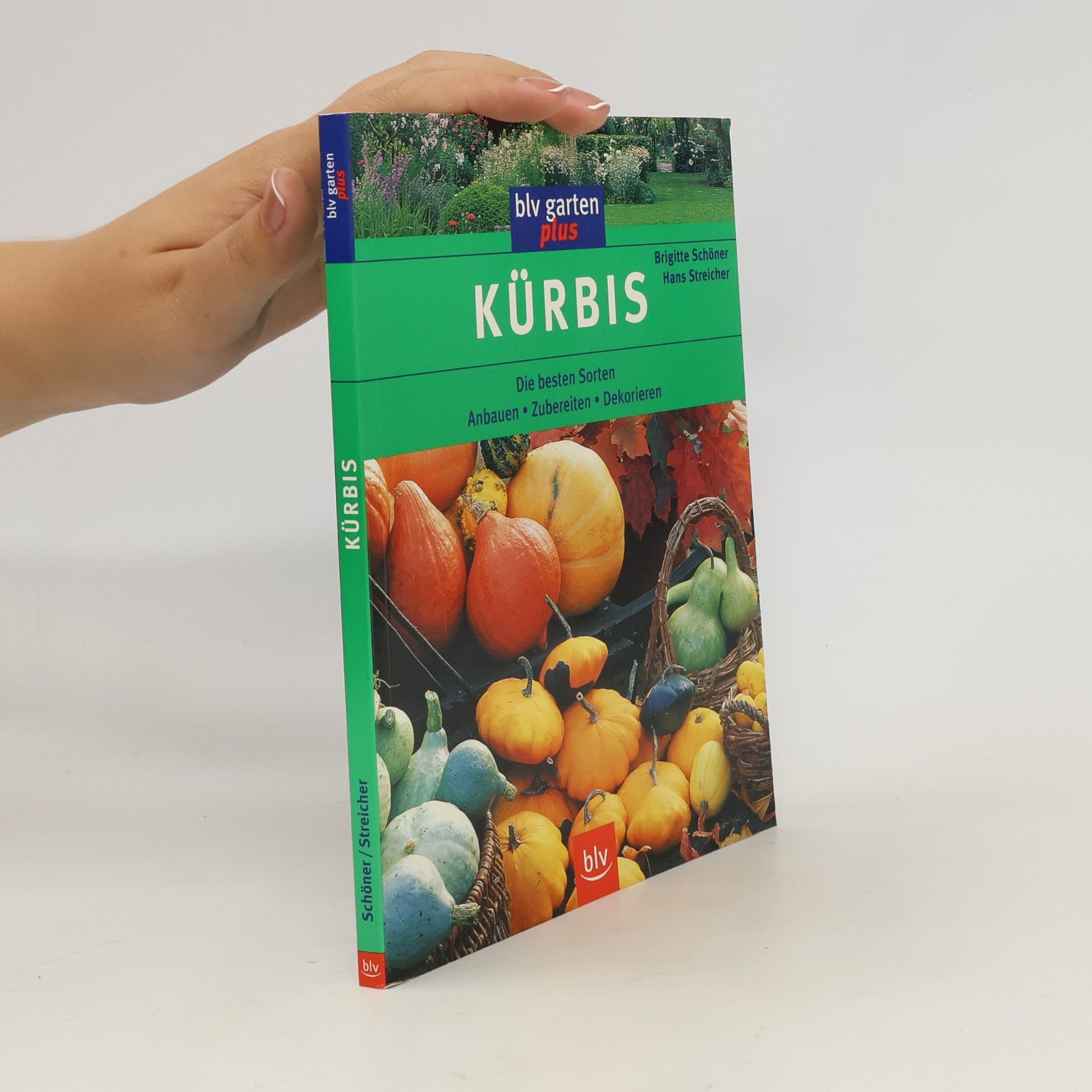 Kürbis