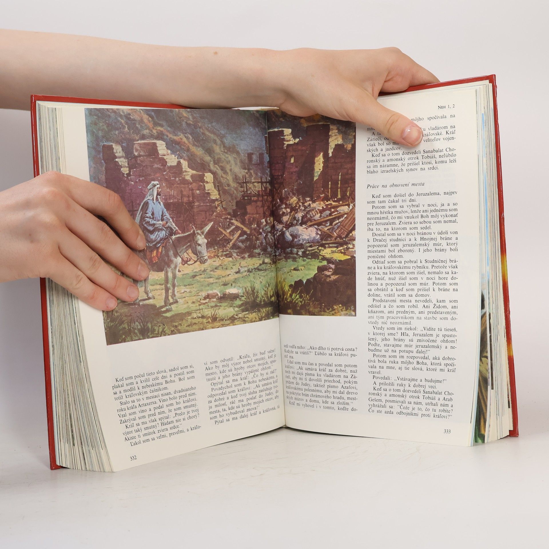 Kolektiv autorů Ilustrovaná biblia : Výber statí s farebnými obrázkami