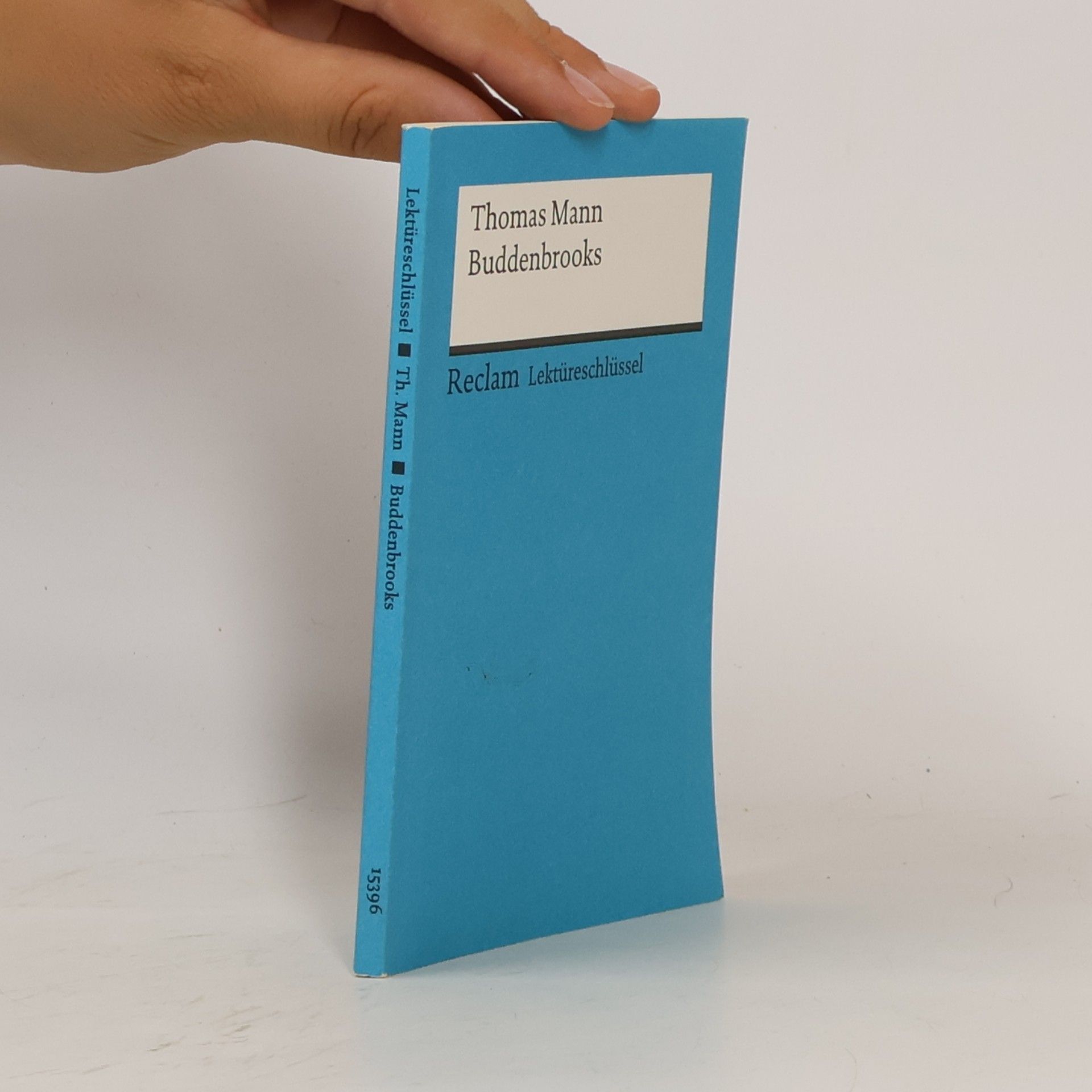 Helmut Bernsmeier Thomas Mann, Buddenbrooks