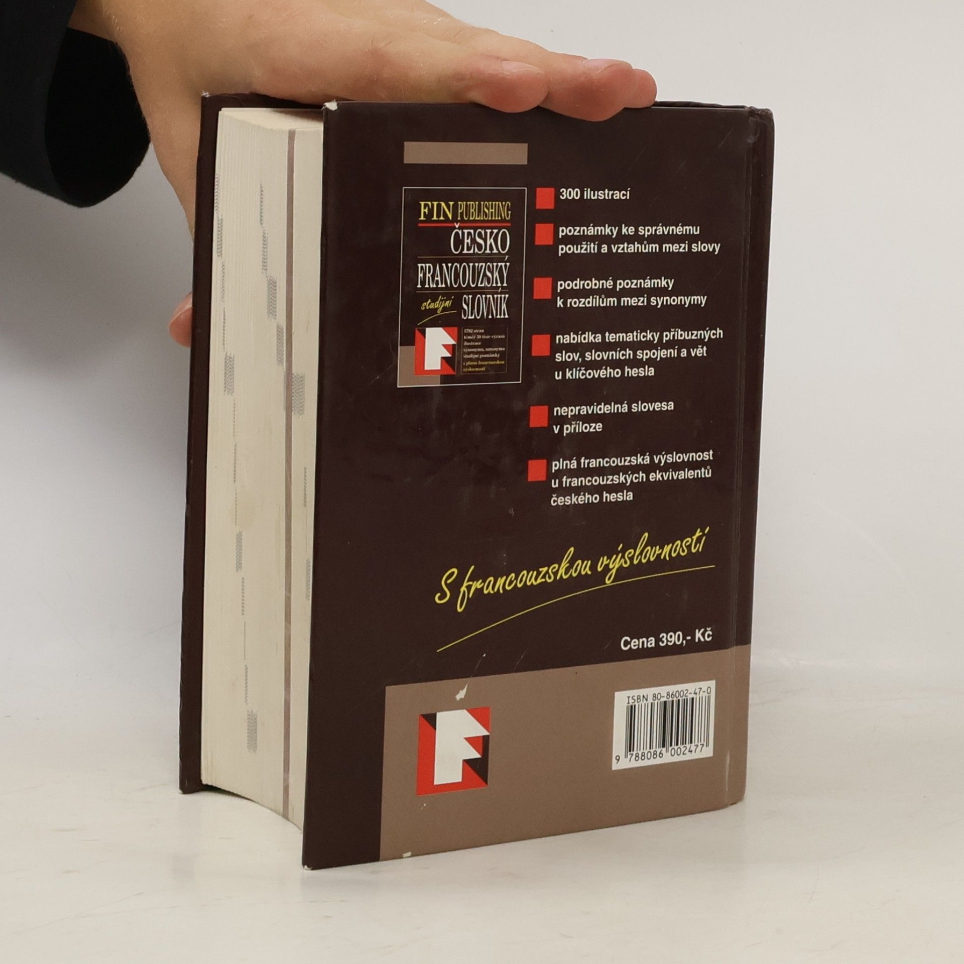 Autorenkollektiv Česko-francouzský slovník