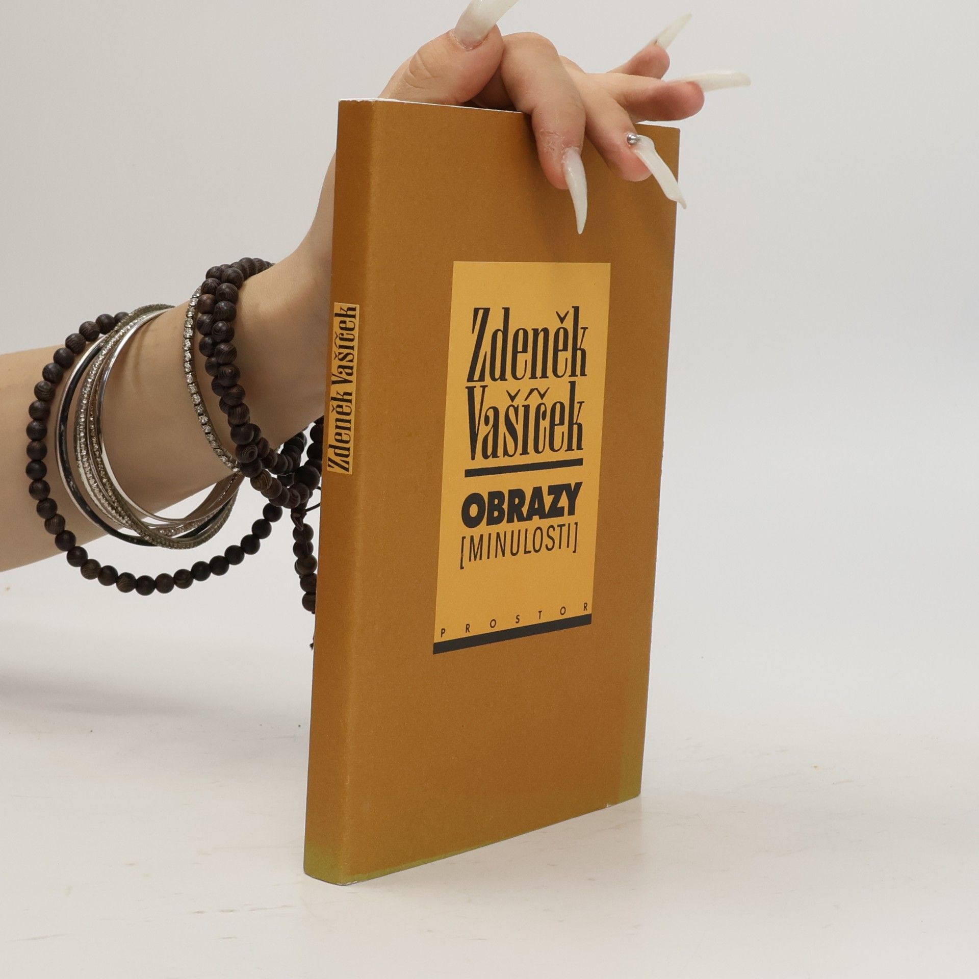 Miroslav Petříček Obrazy (minulosti) : o bytí, poznání a podání minulého času