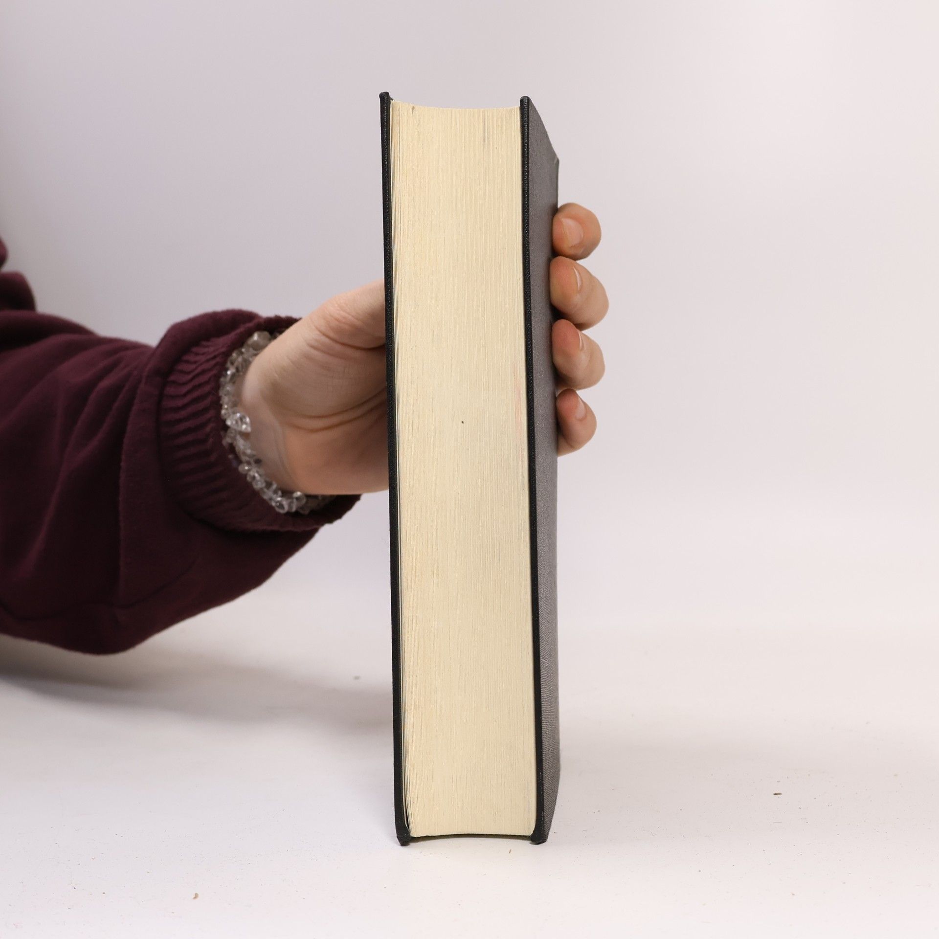 Ladislav Fuks Variationen für eine dunkle Saite