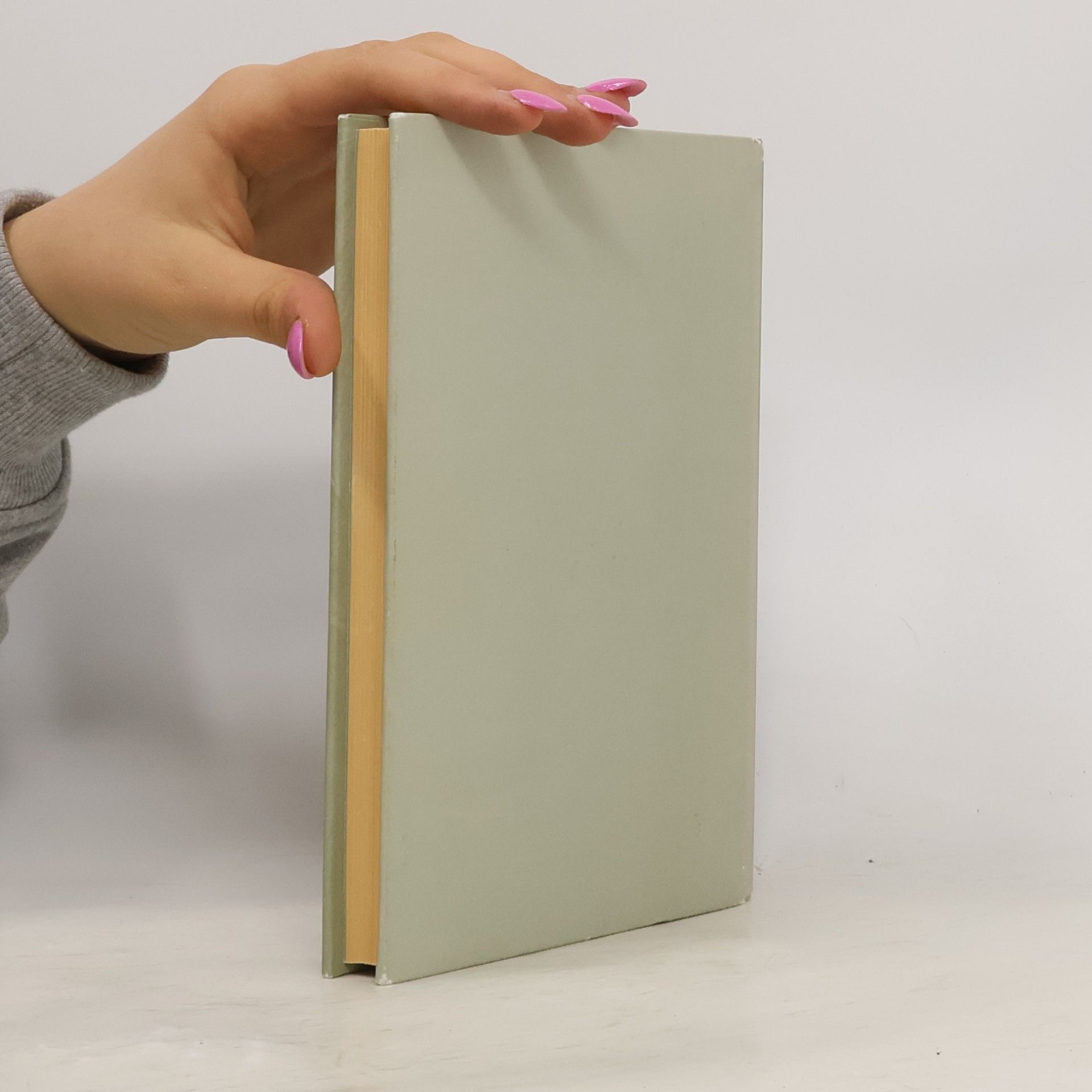 Jiří Hájíček Selský baroko