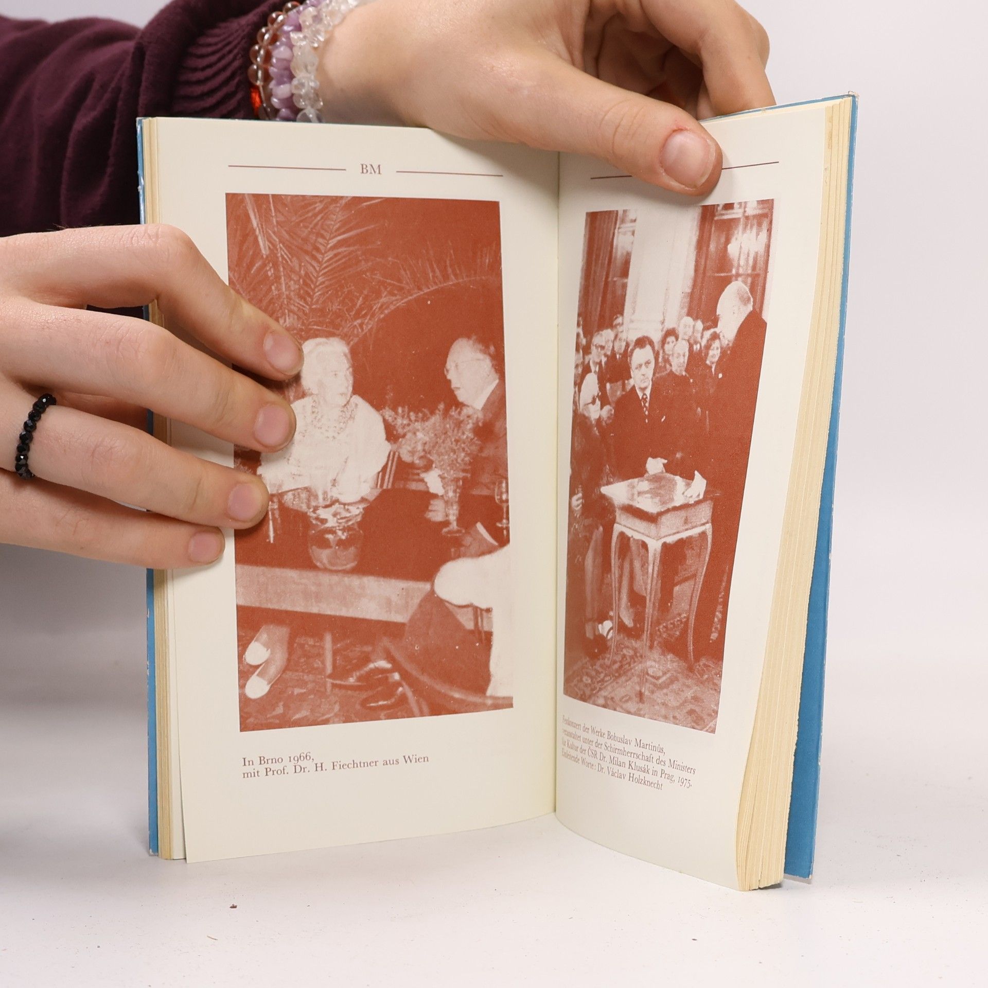 Charlotte Martinů Mein Leben mit Bohuslav Martinů.