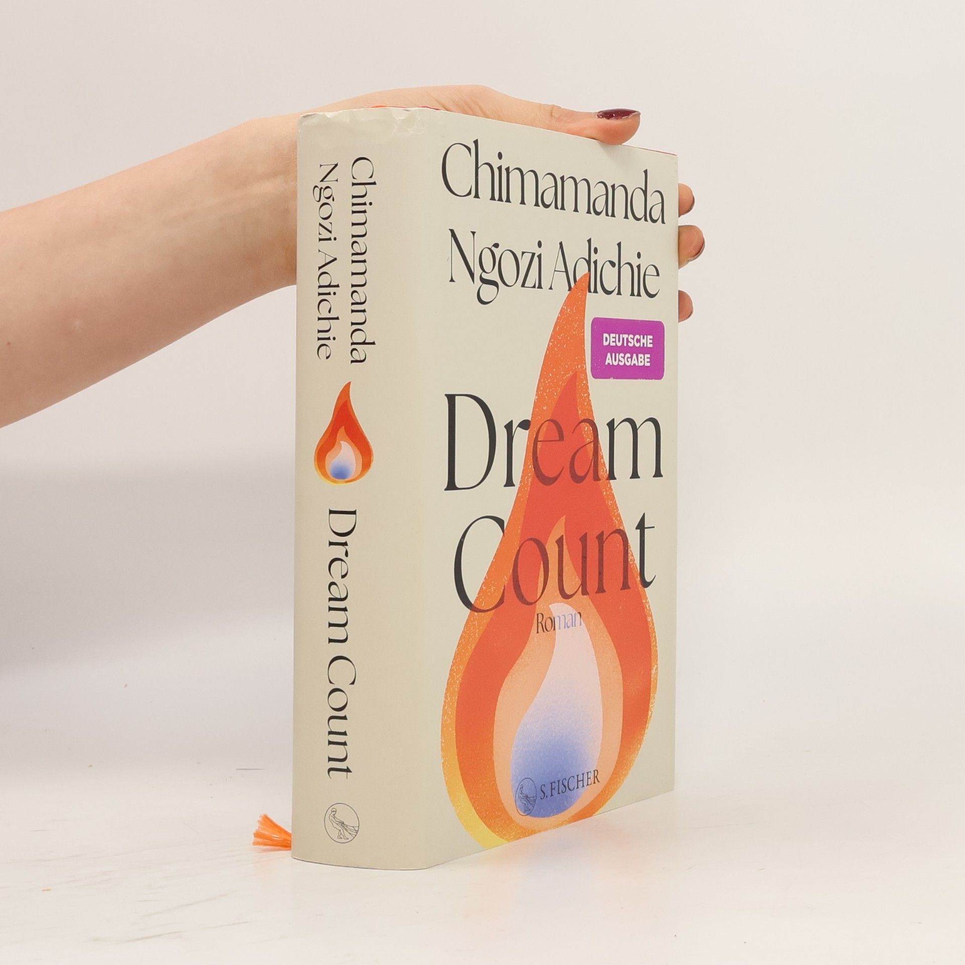 Chimamanda Ngozi Adichie Dream Count