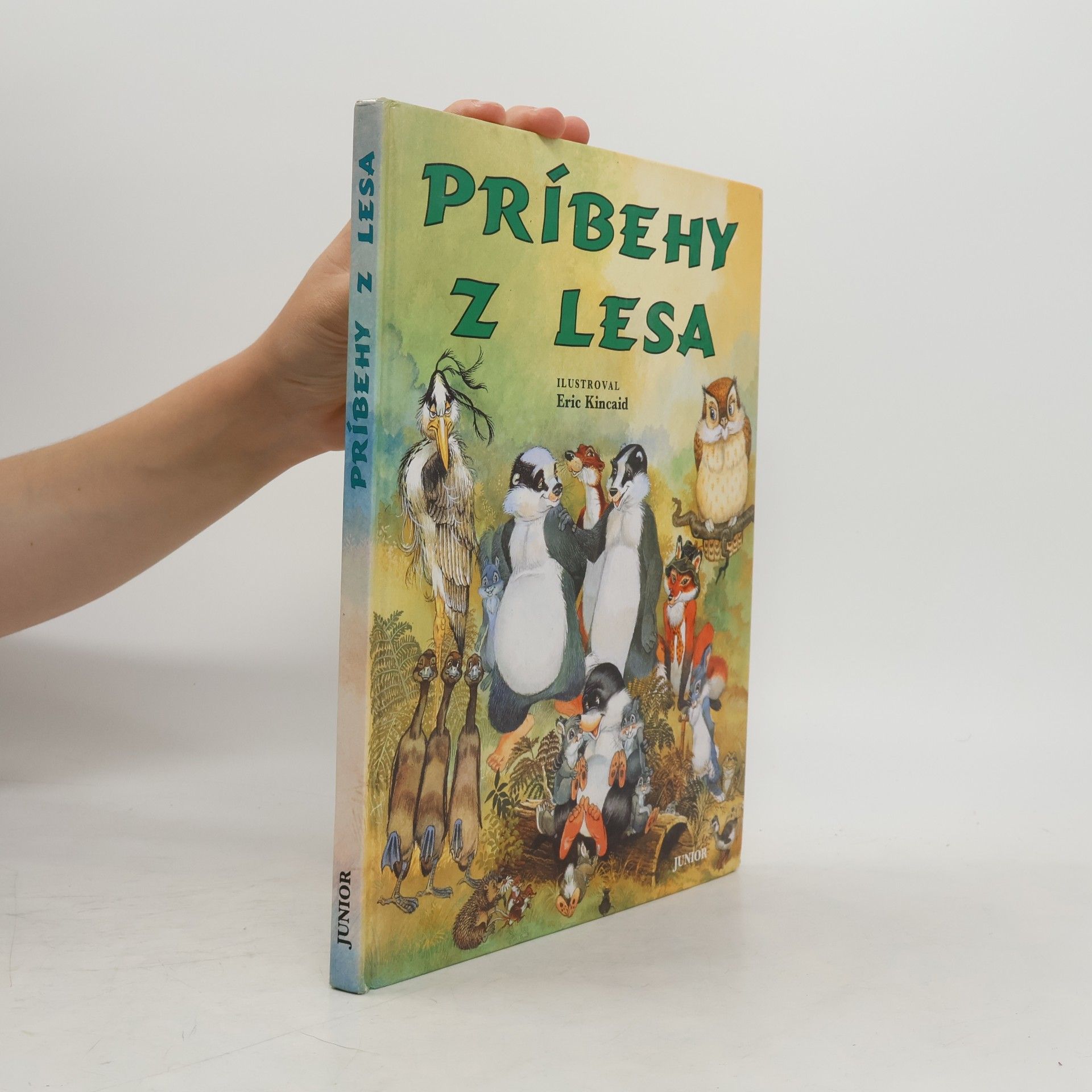 Lucy Kincaid Príbehy z lesa