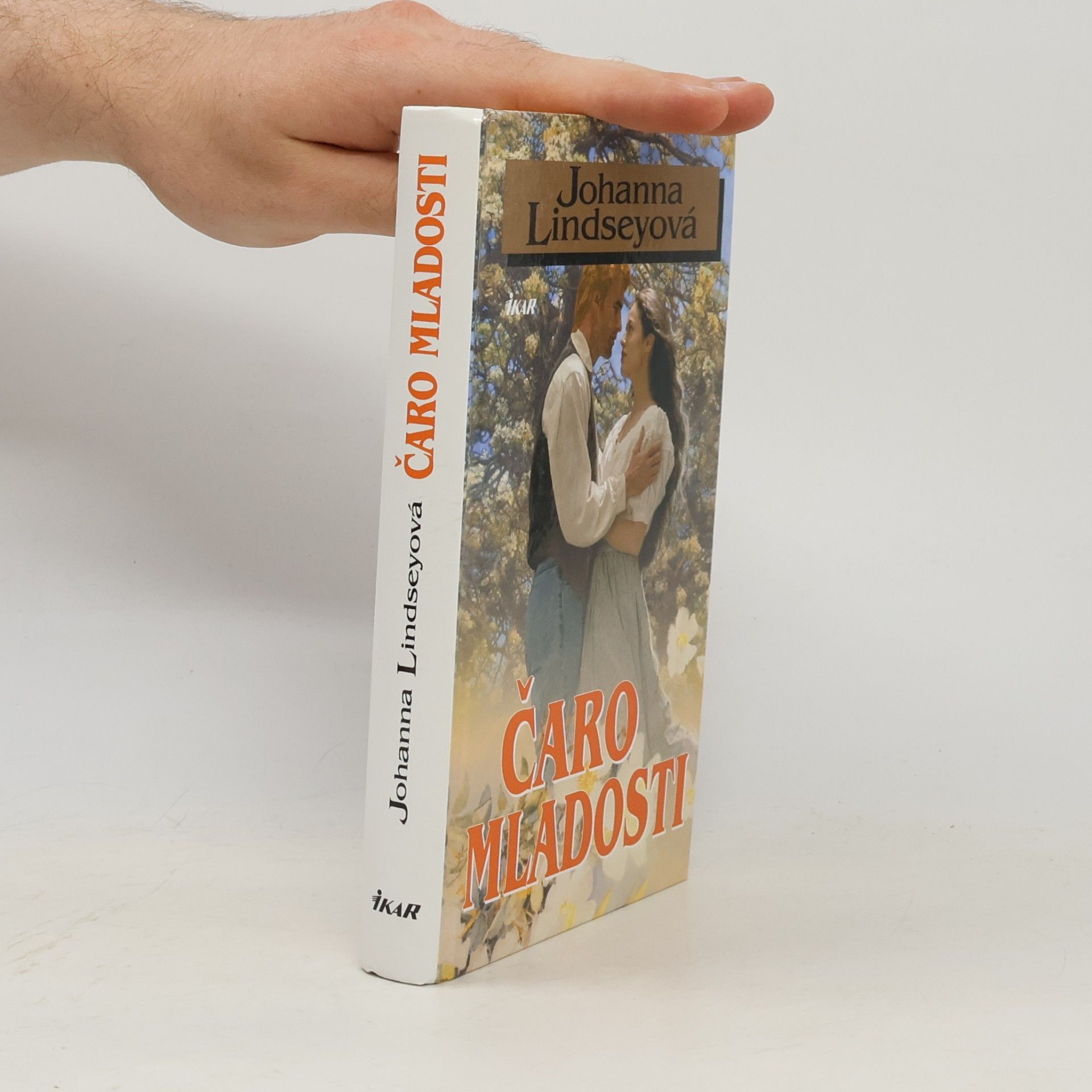 Johanna Lindsey Čaro mladosti