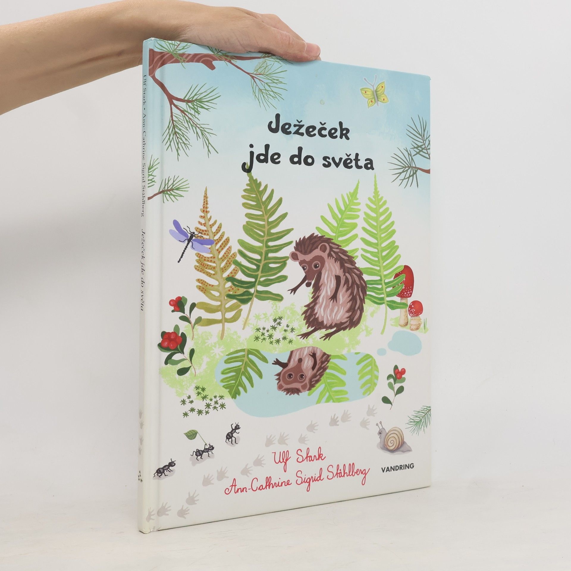 Ulf Stark Ježeček jde do světa