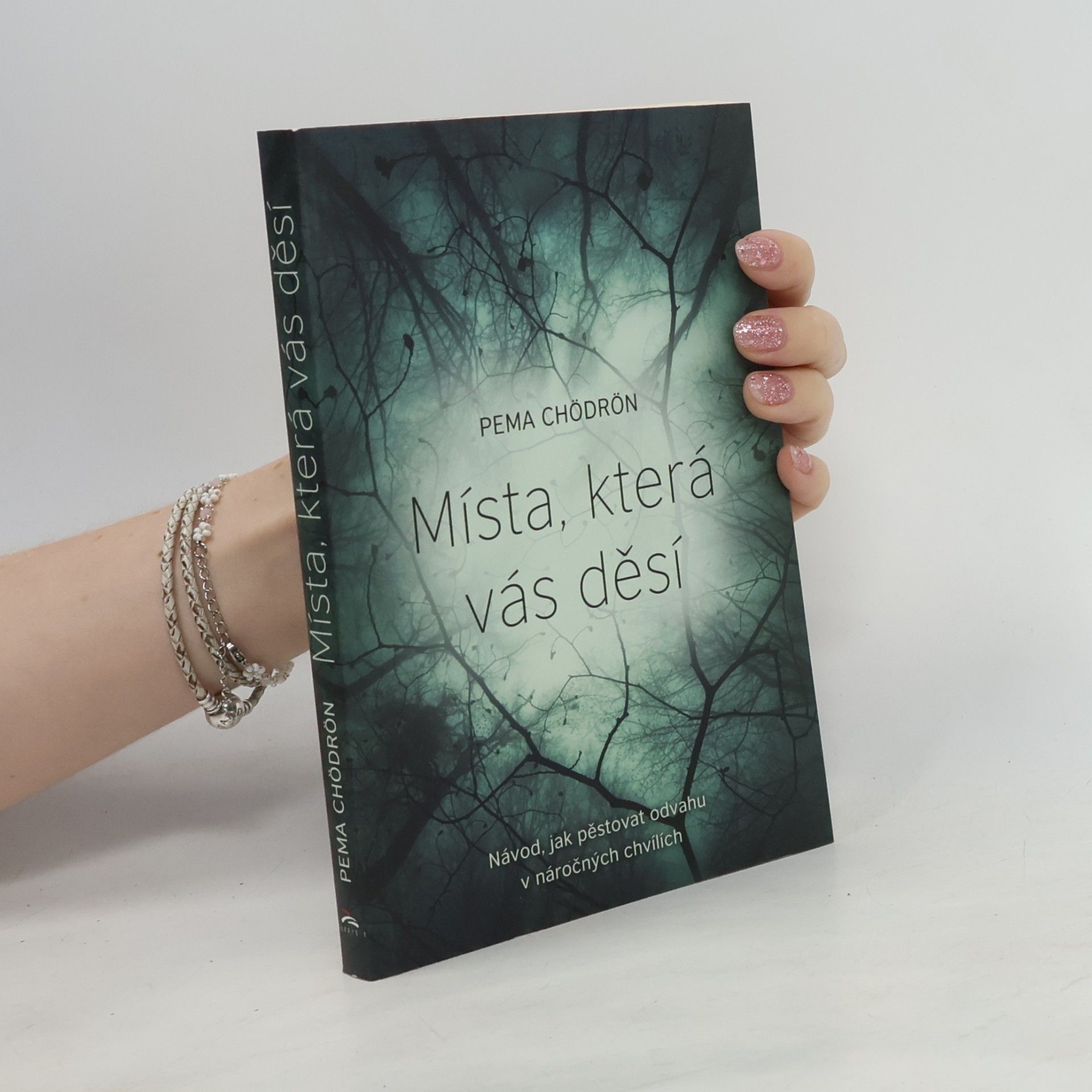 Pema Chödrön Místa, která vás děsí
