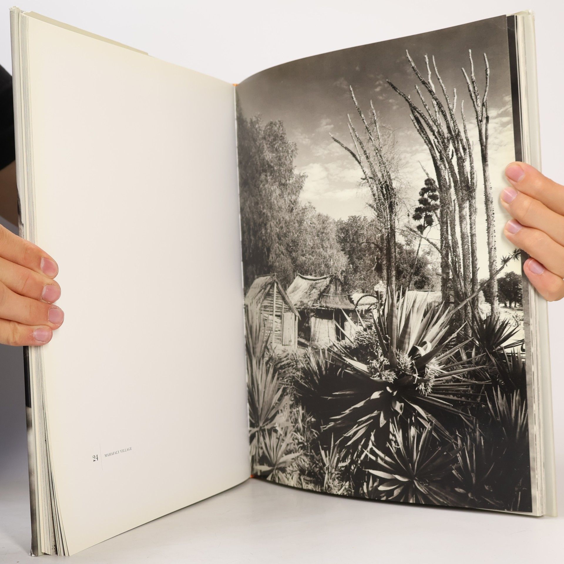 Gian Paolo Barbieri Madagascar