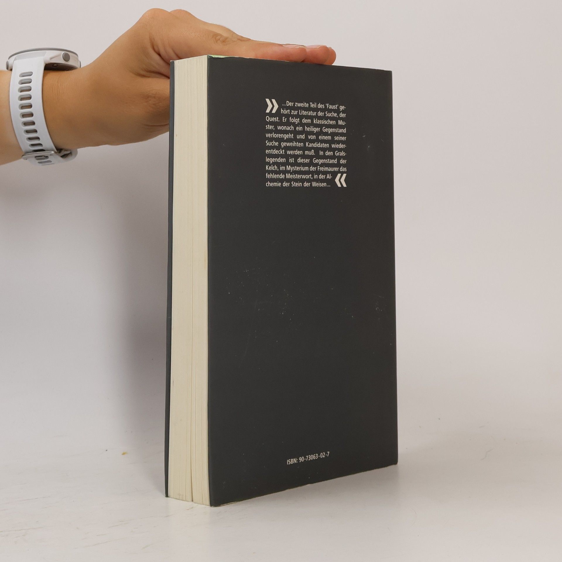 Alice Raphael Goethe und der Stein der Weisen