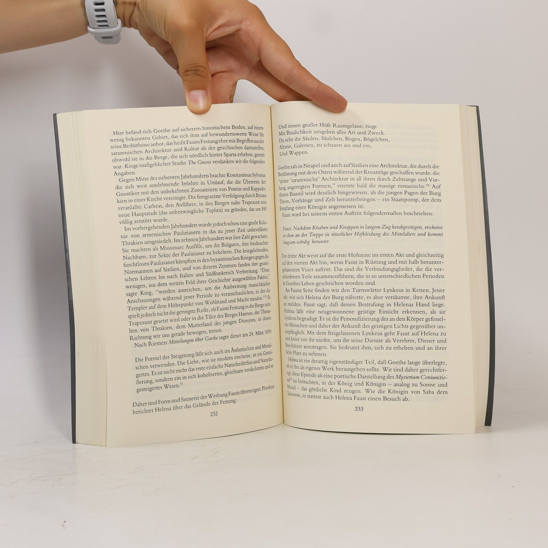 Alice Raphael Goethe und der Stein der Weisen