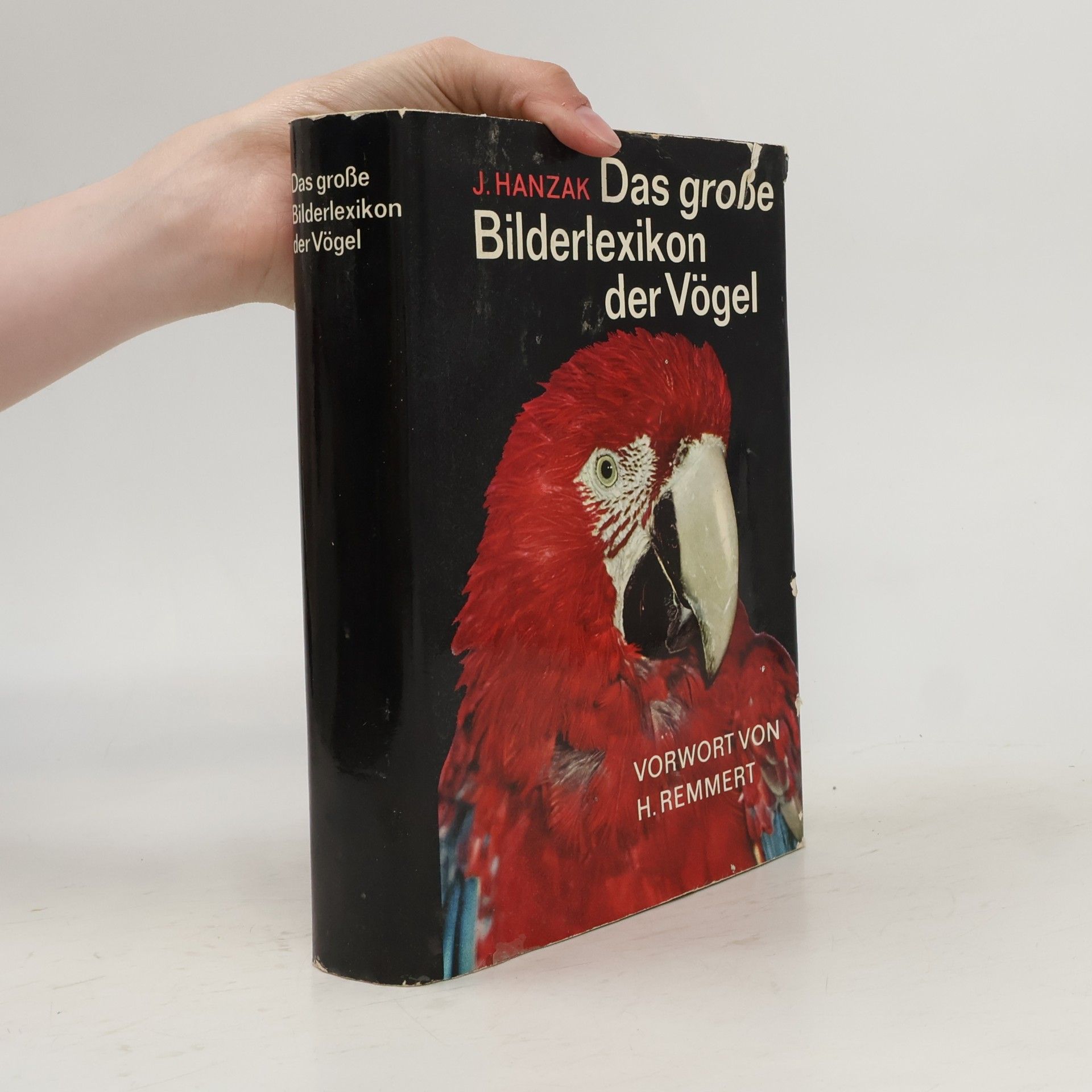 Jan Hanzák Das große Bilderlexikon der Vögel