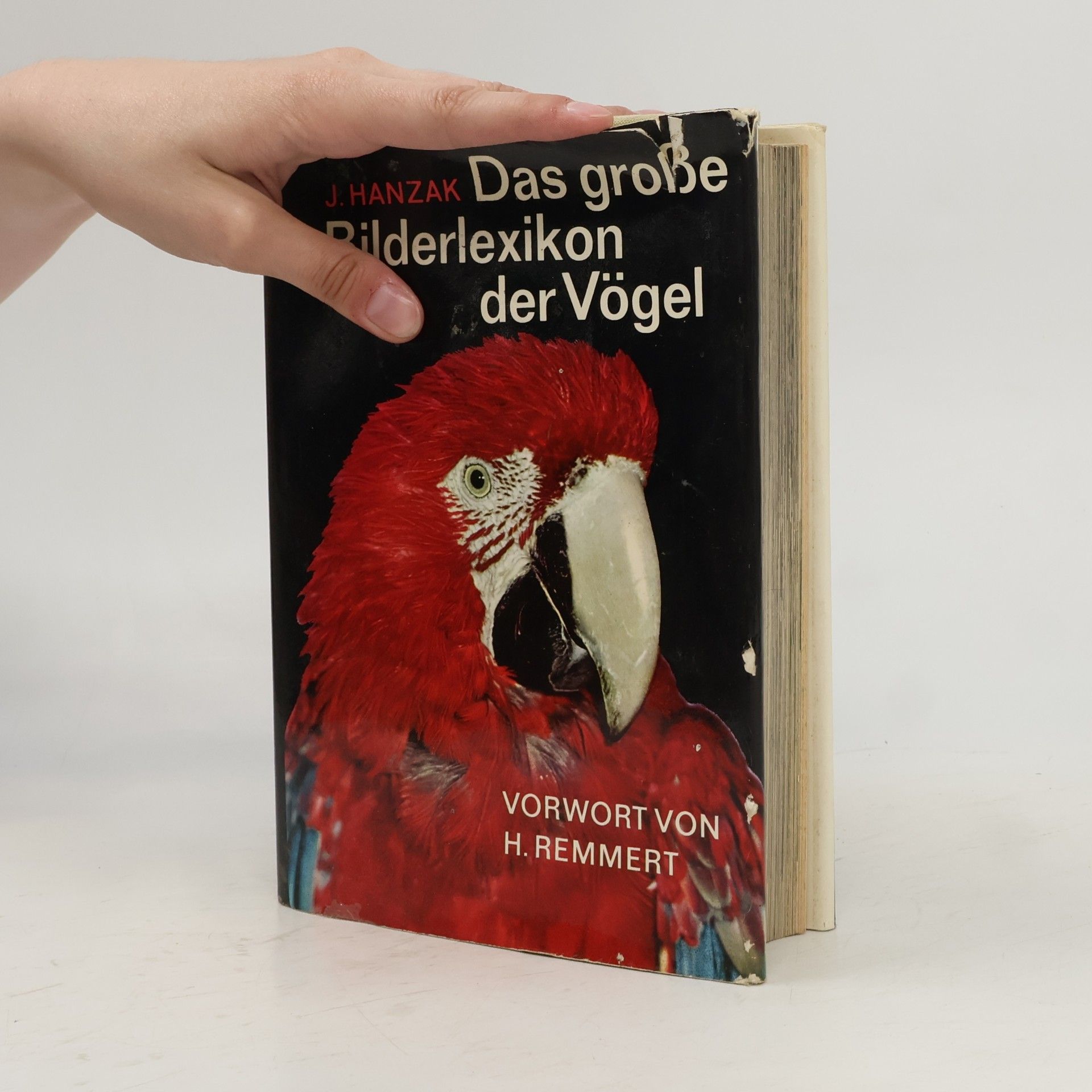 Jan Hanzák Das große Bilderlexikon der Vögel