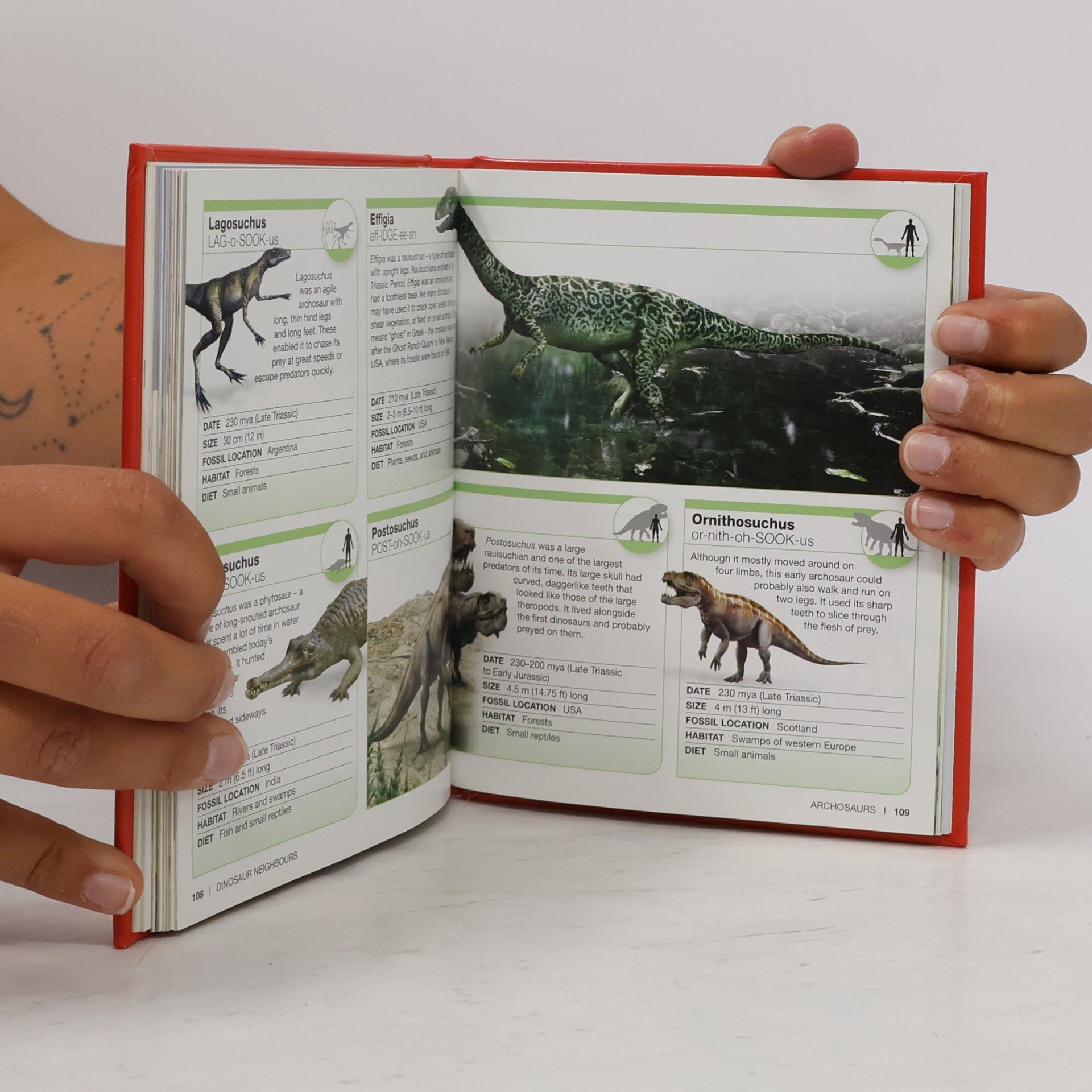 Dorling Kindersley Publishing Staff Pocket Eyewitness: Dinosaurs
