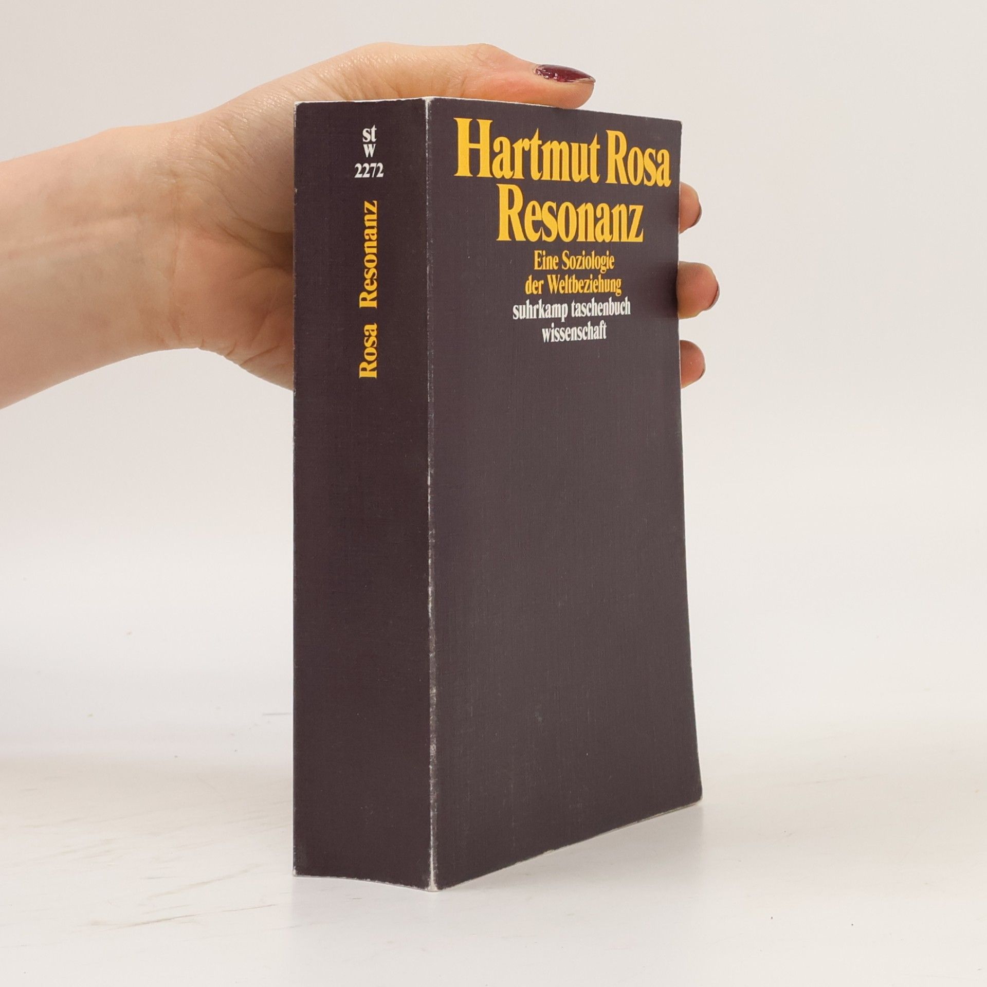Hartmut Rosa Resonanz