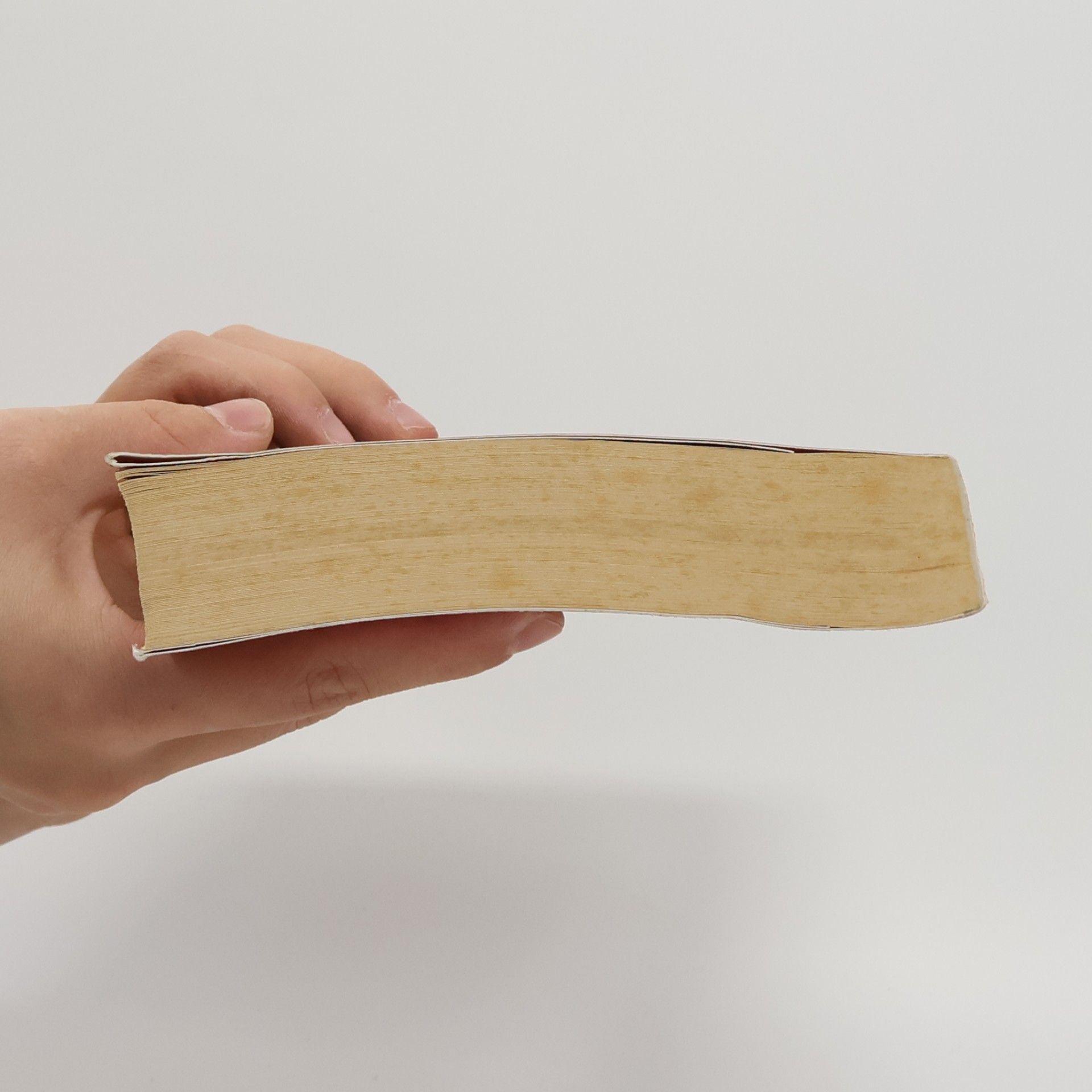 Elena Liverani Il quaderno di Maya