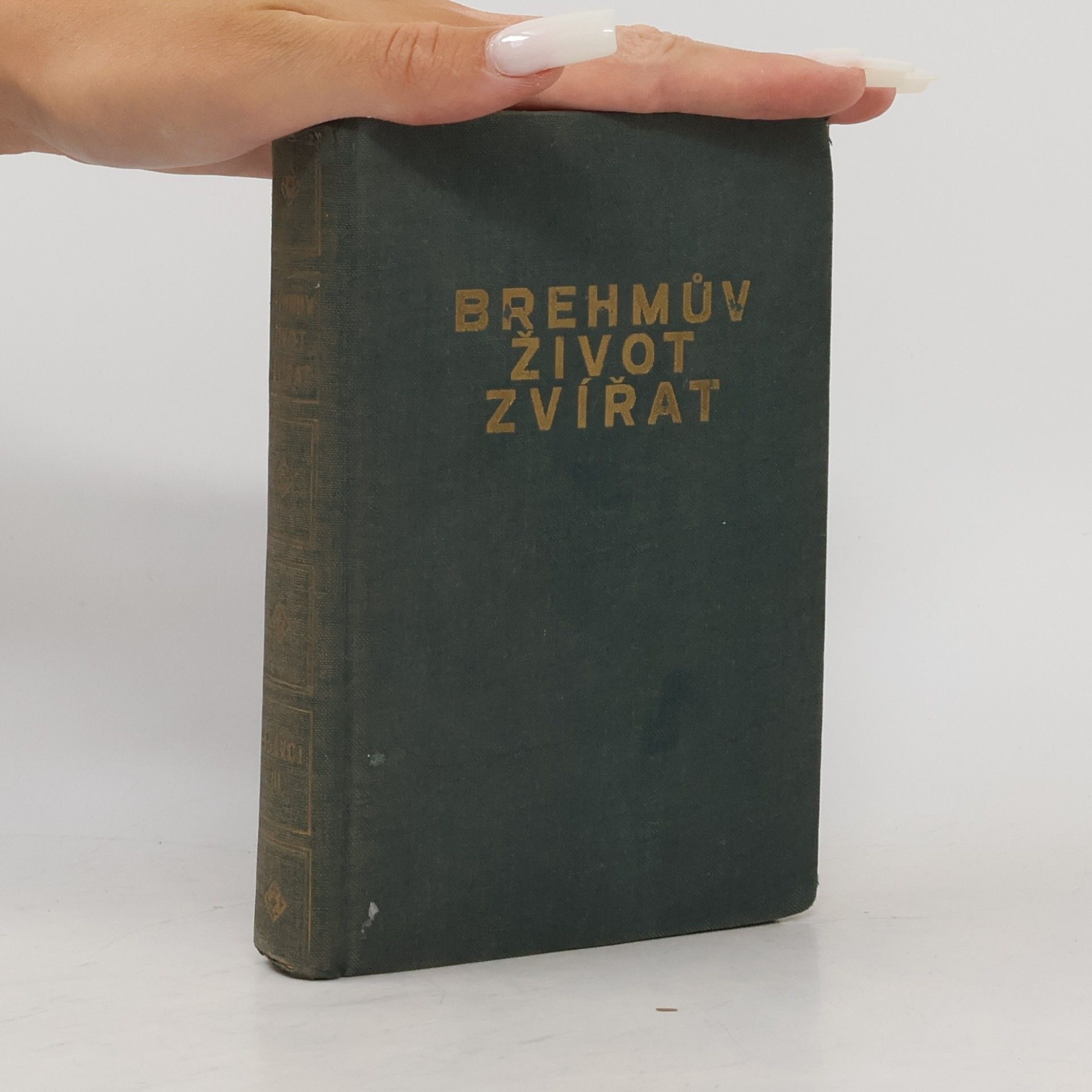 Kolektív autorov Brehmův život zvířat. Ssavci. Svazek 5