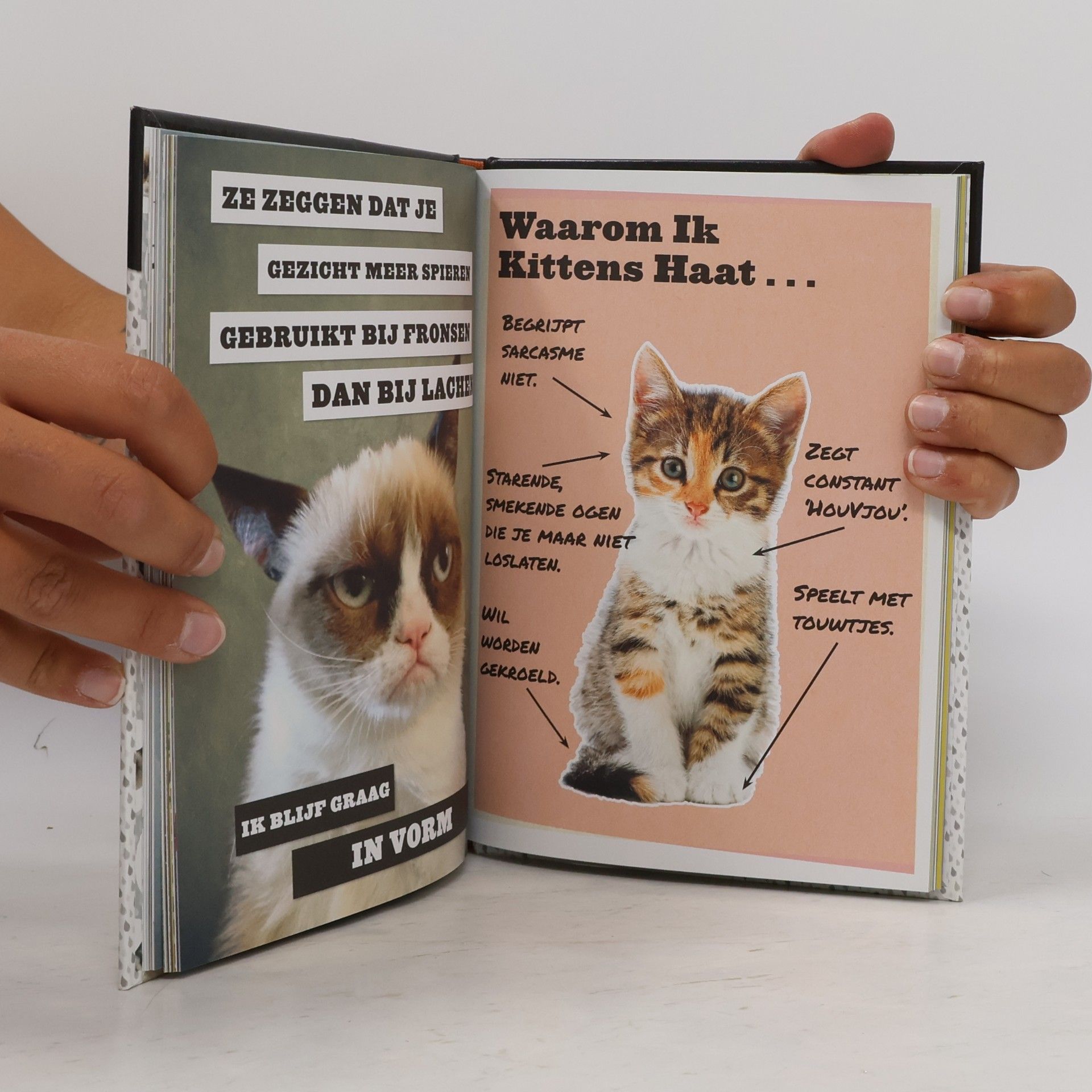 Roel Tanja Grumpy Cat
