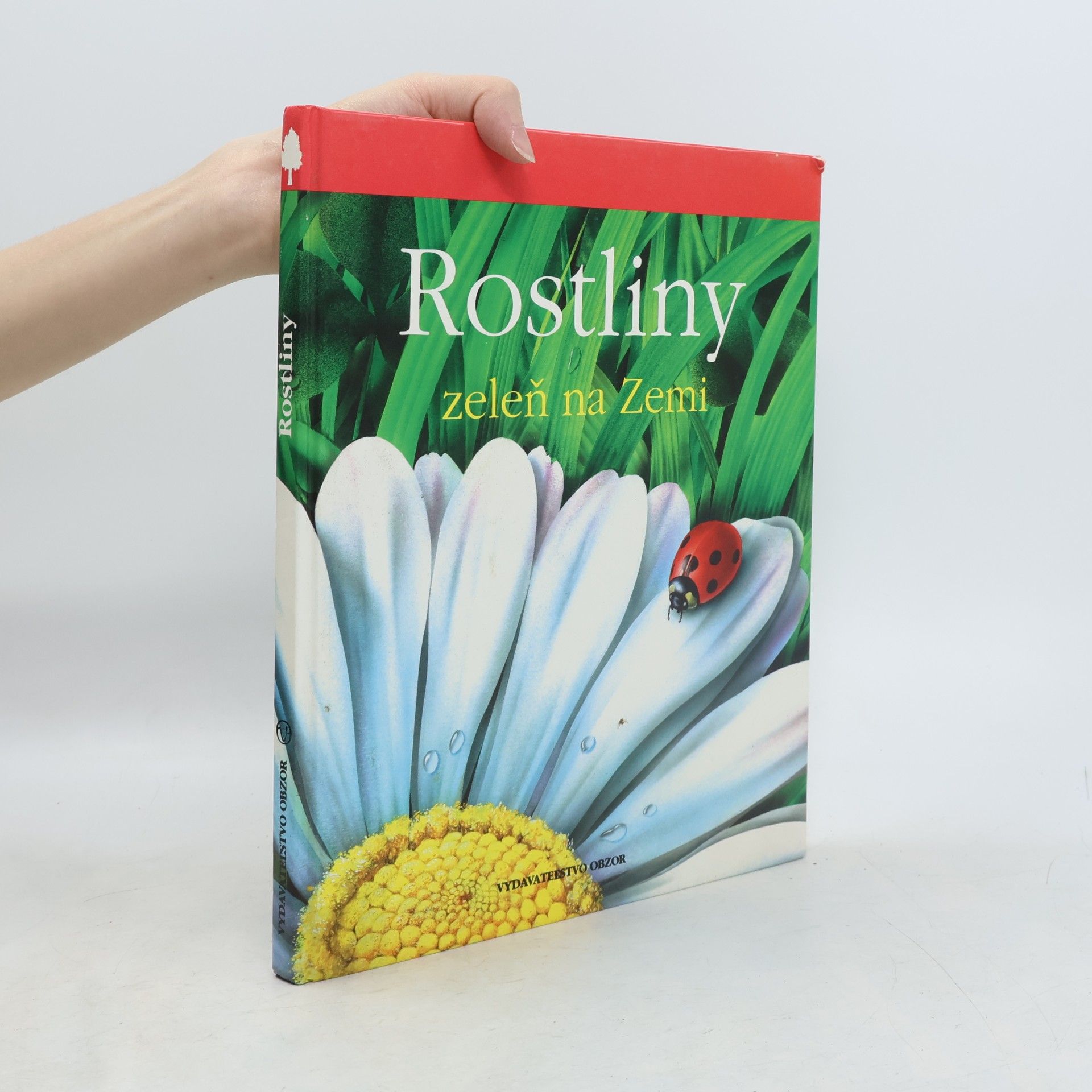 Lucia Benedittiová Rostliny. Zeleň na zemi
