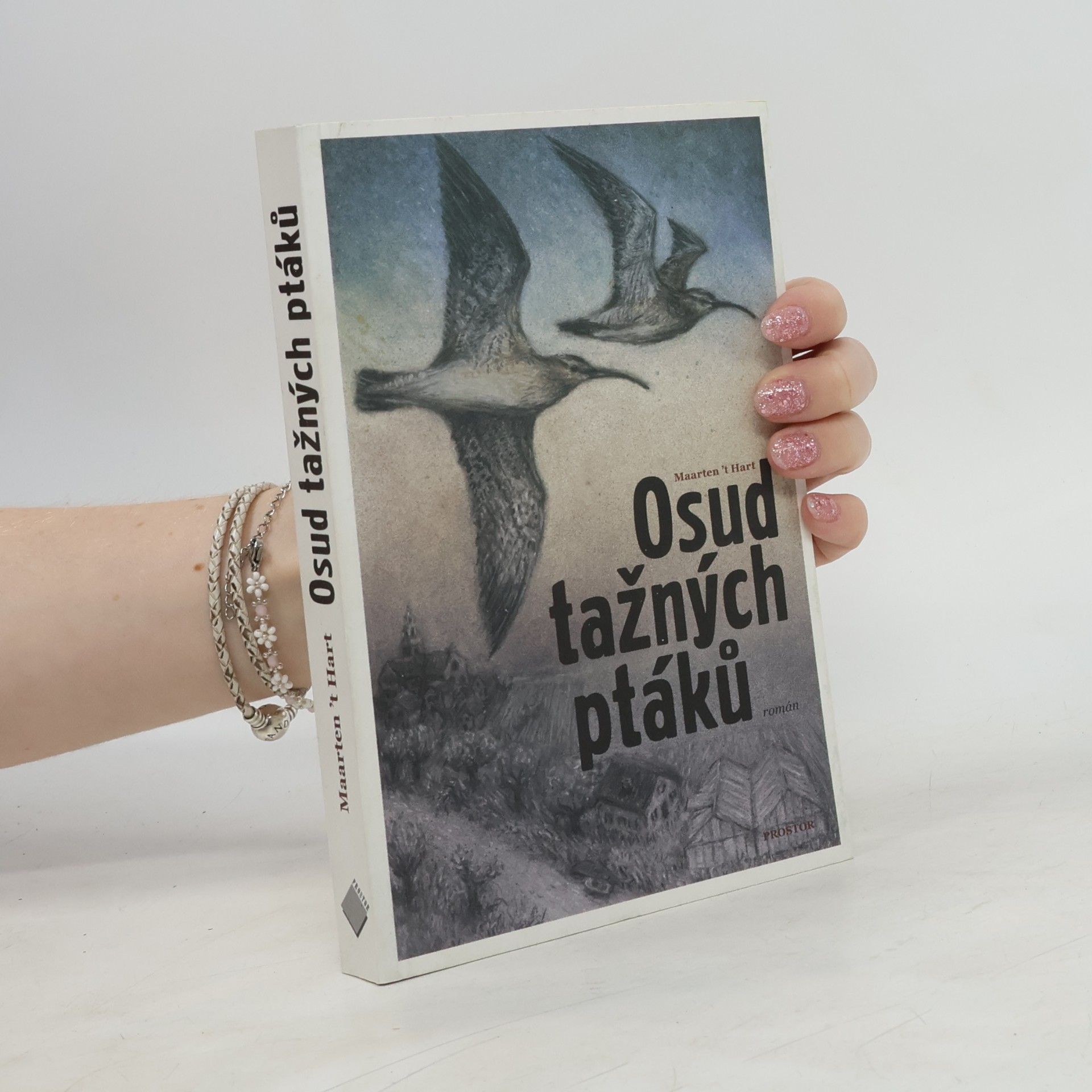 Martin Hart Osud tažných ptáků