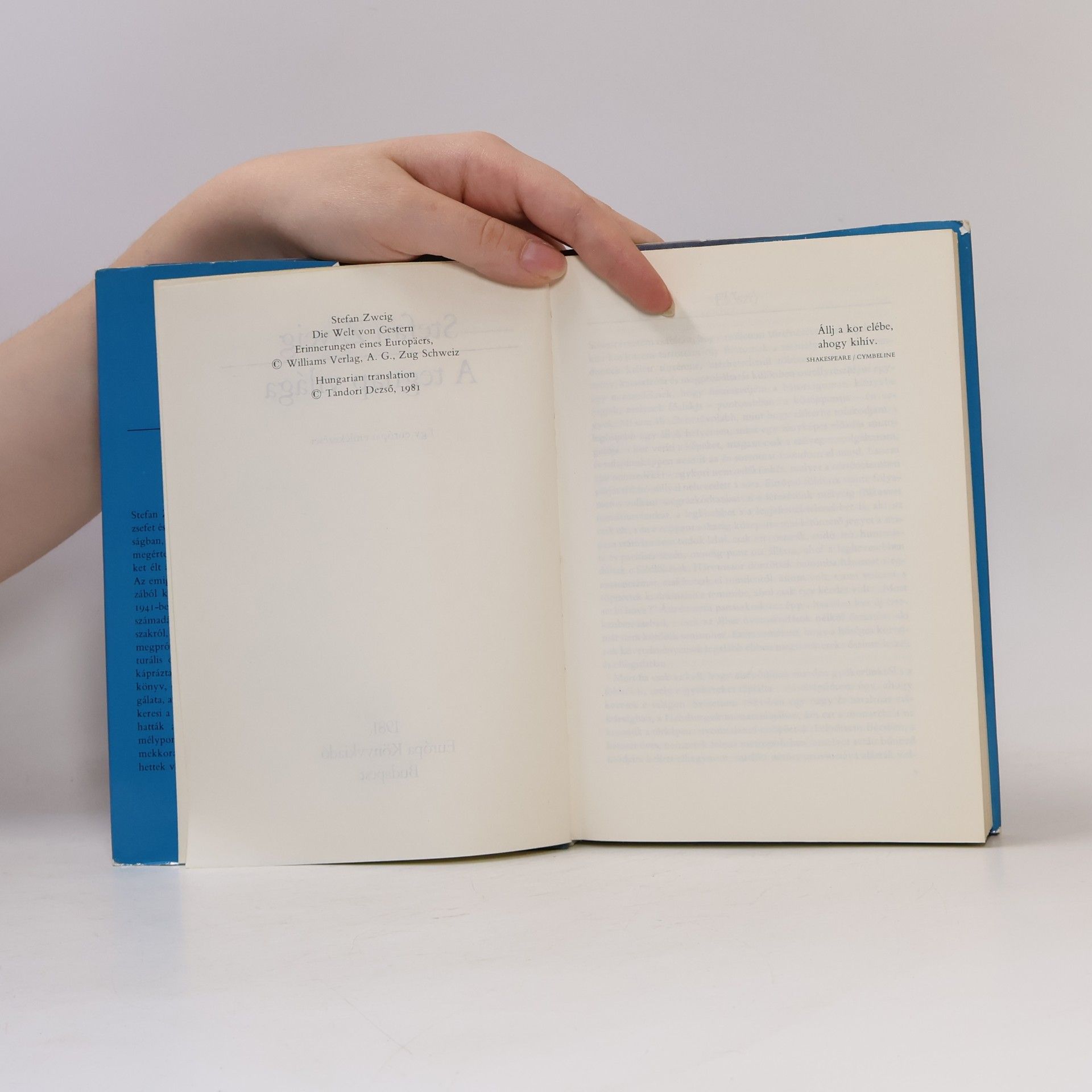 Stefan Zweig A tegnap világa