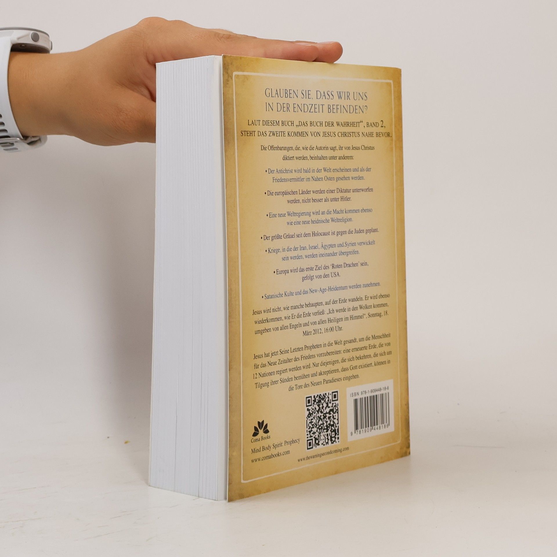 Maria Divine Mercy Das Buch der Wahrheit Band 2