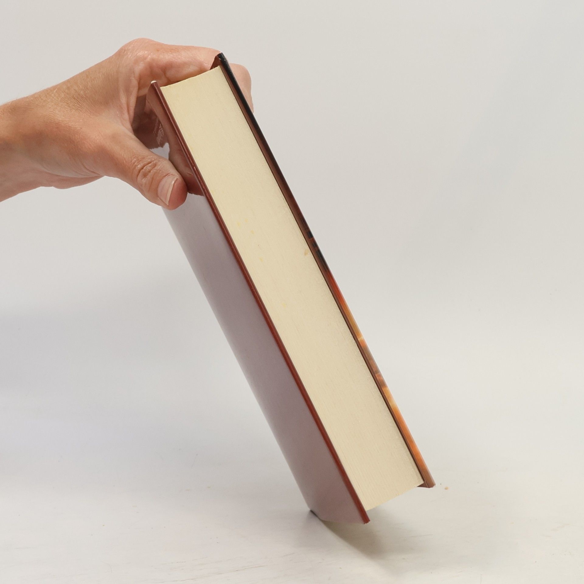 Nicholas Sparks Poslední píseň