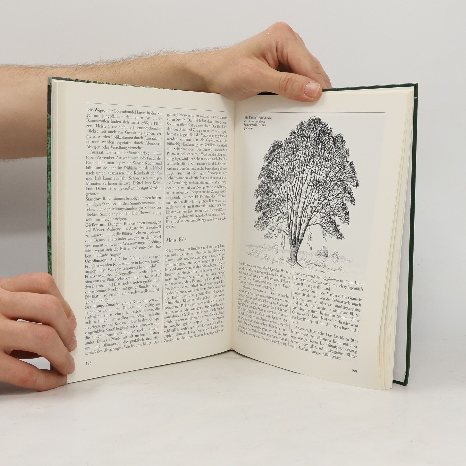 Wolfgang Kawollek Das praktische Bonsai-Buch