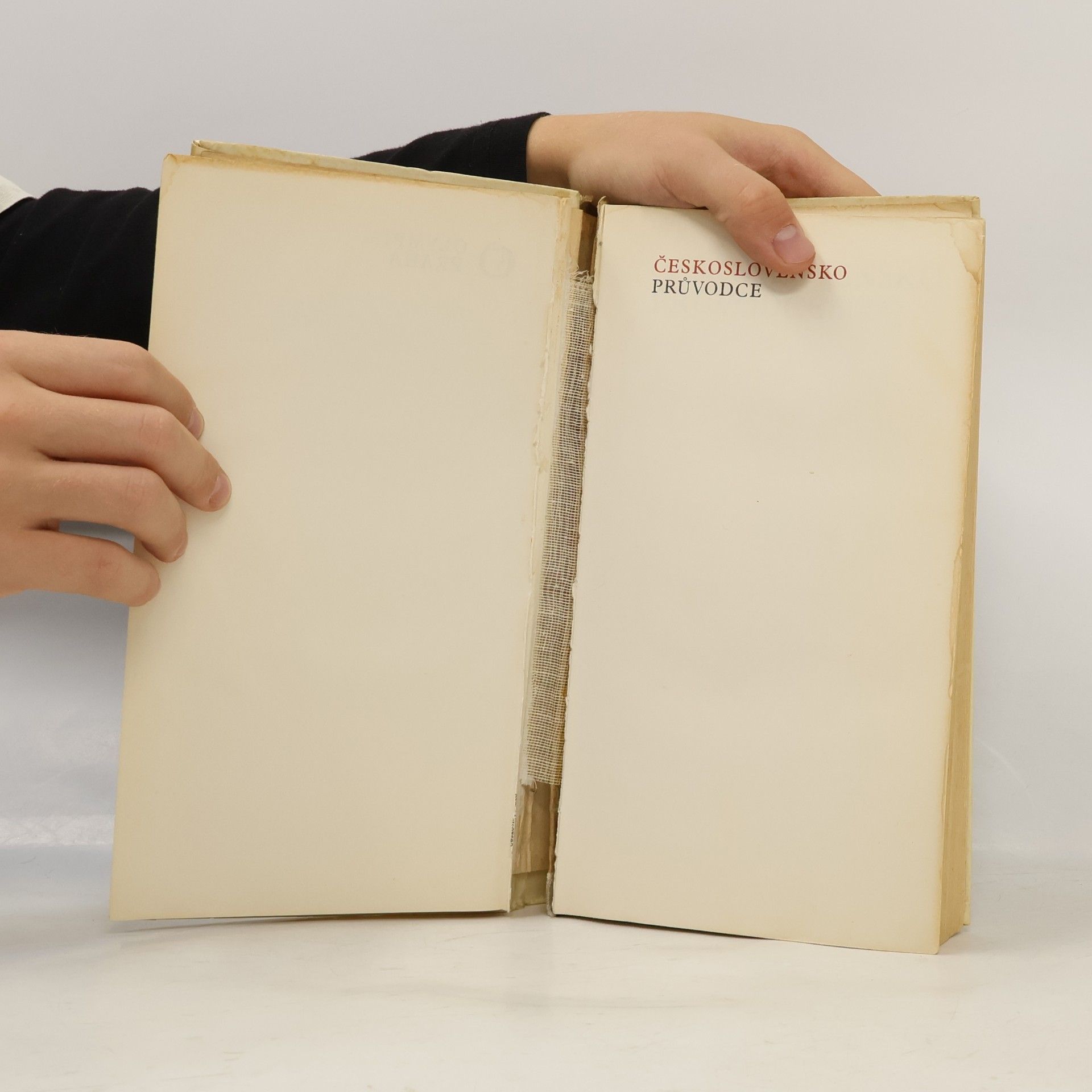 Various authors Československo - průvodce