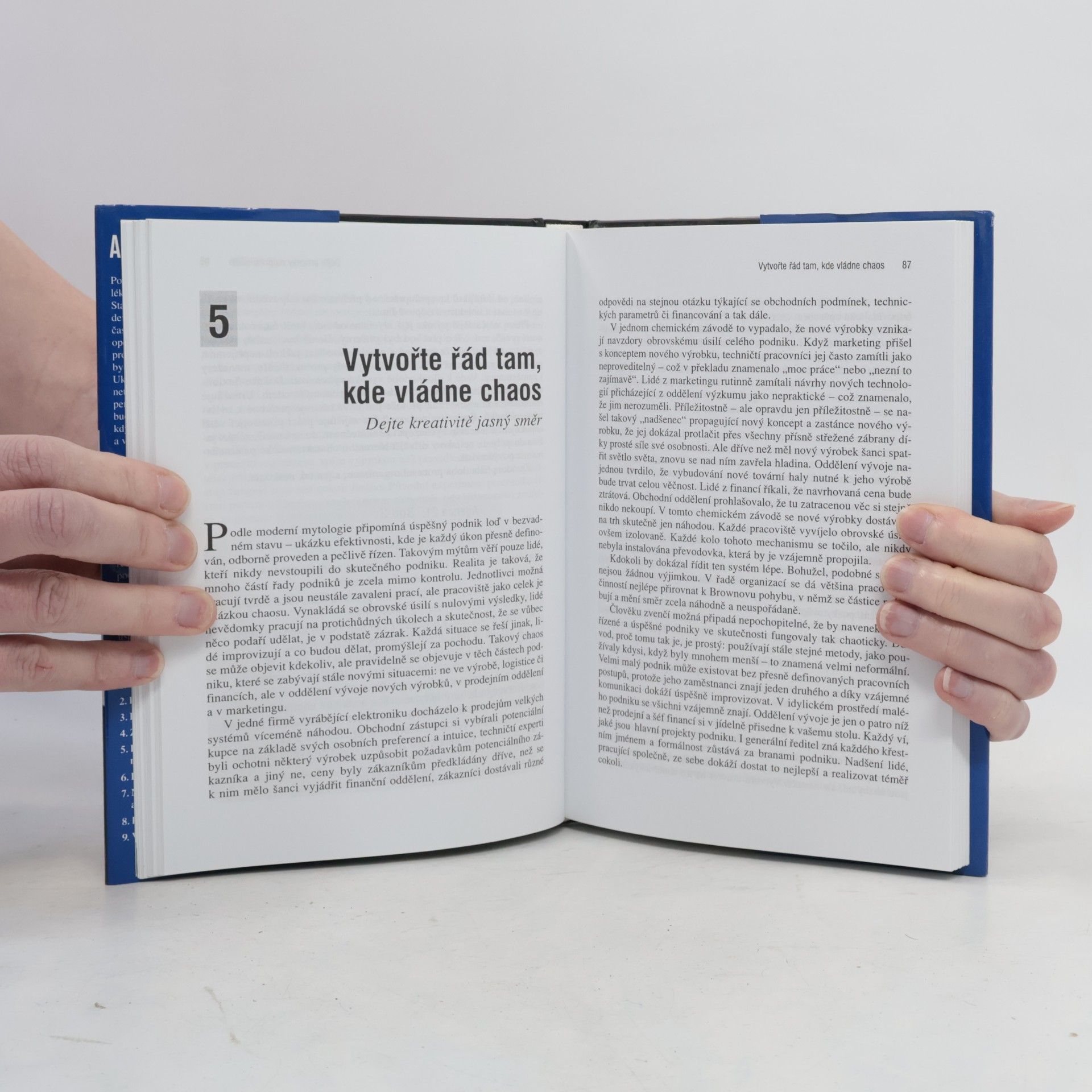 Michael Hammer Agenda 21 : co musí každý podnik udělat pro úspěch v 21. století
