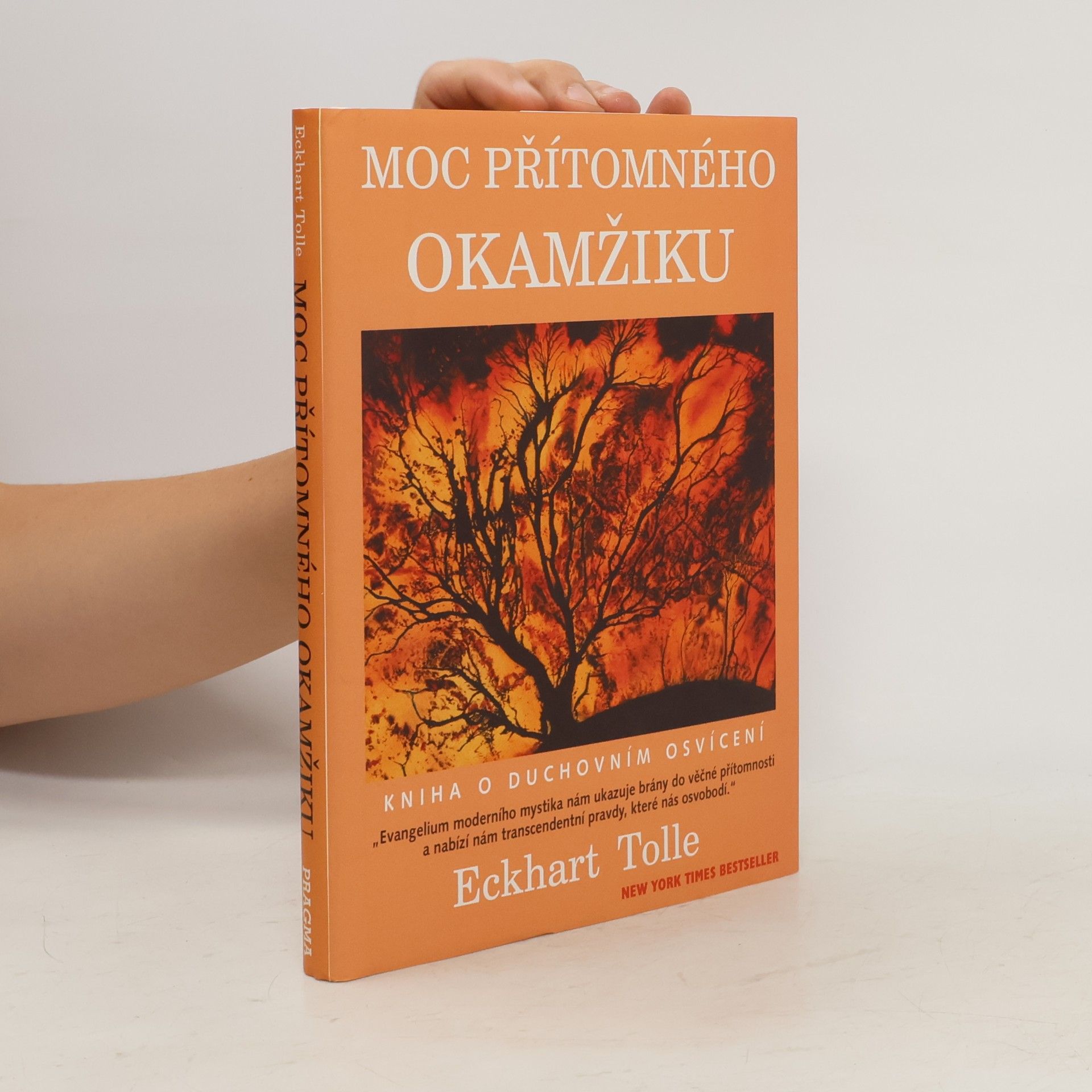 Eckhart Tolle Moc přítomného okamžiku