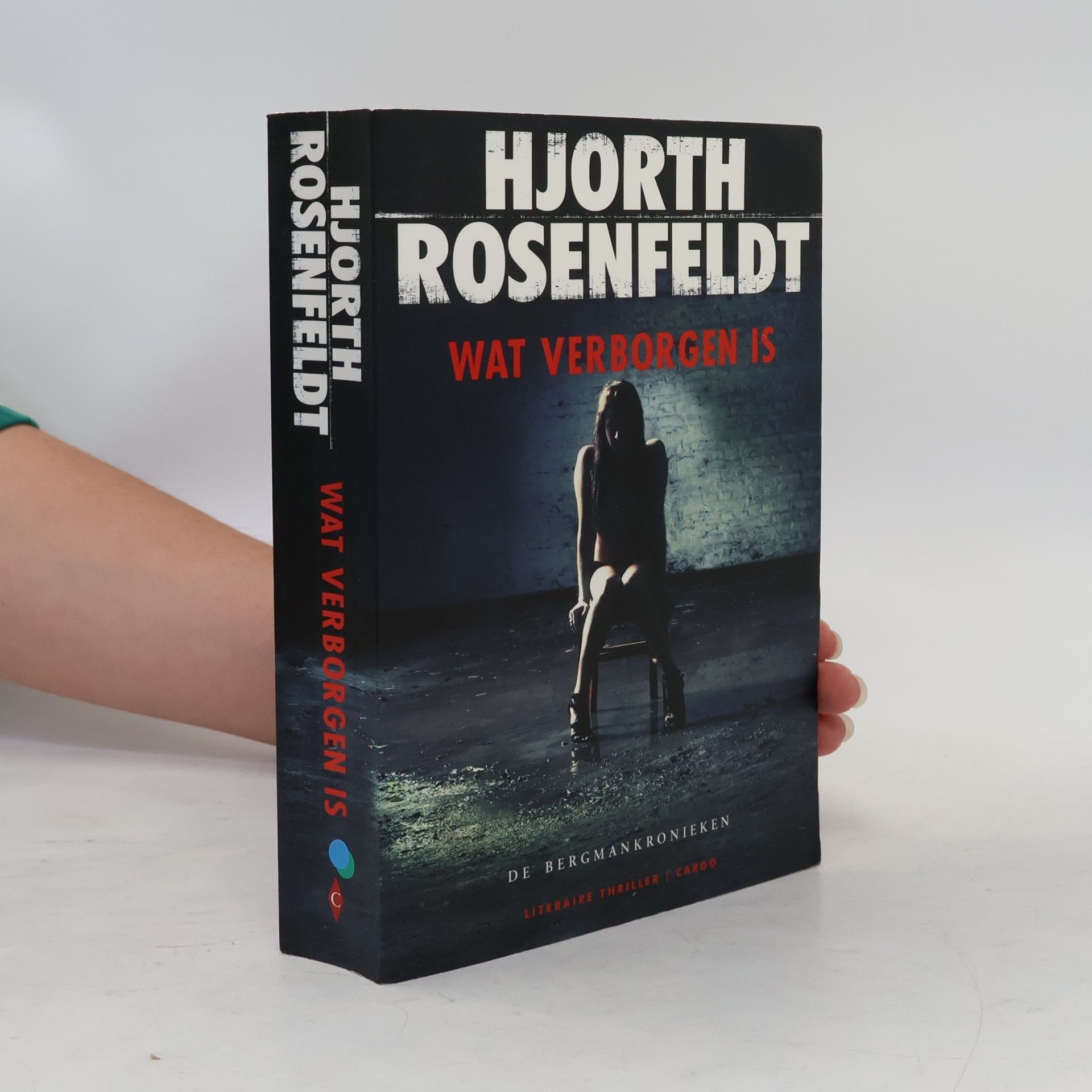 Hans Rosenfeldt De Bergmankronieken - 1: Wat verborgen is