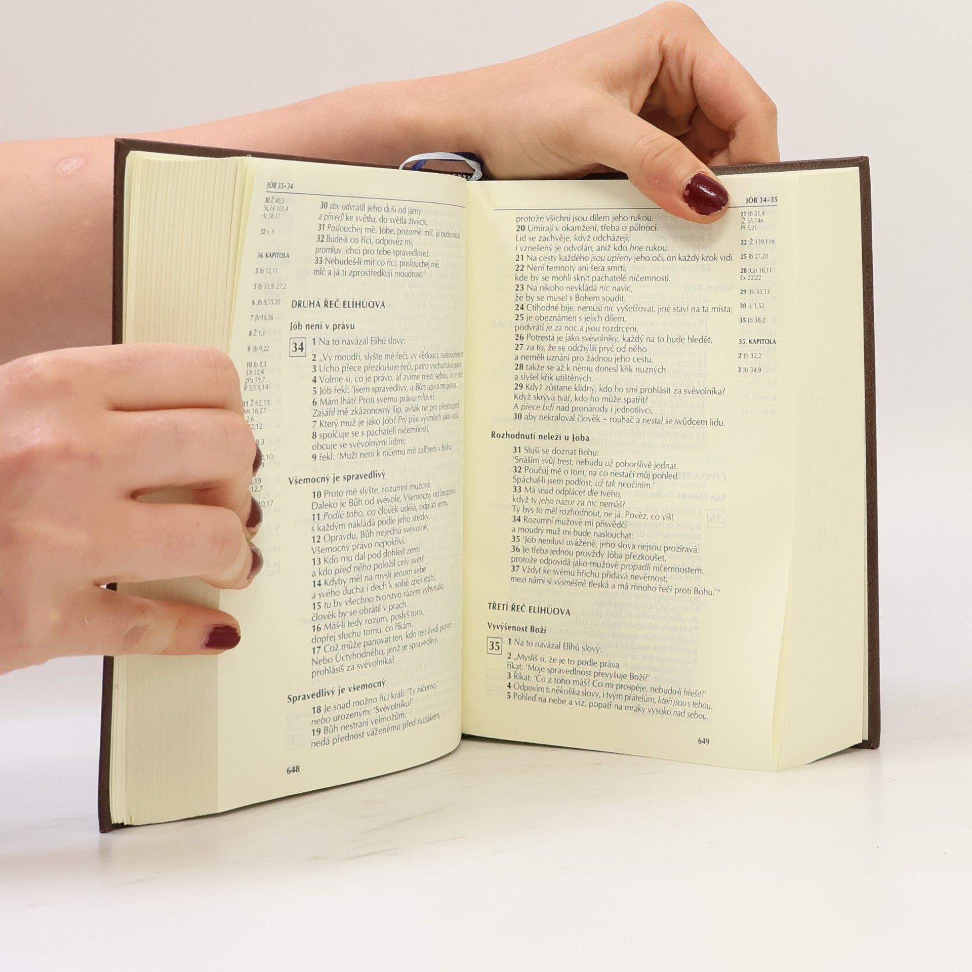 Autores varios Bible. Písmo svaté Starého a Nového zákona