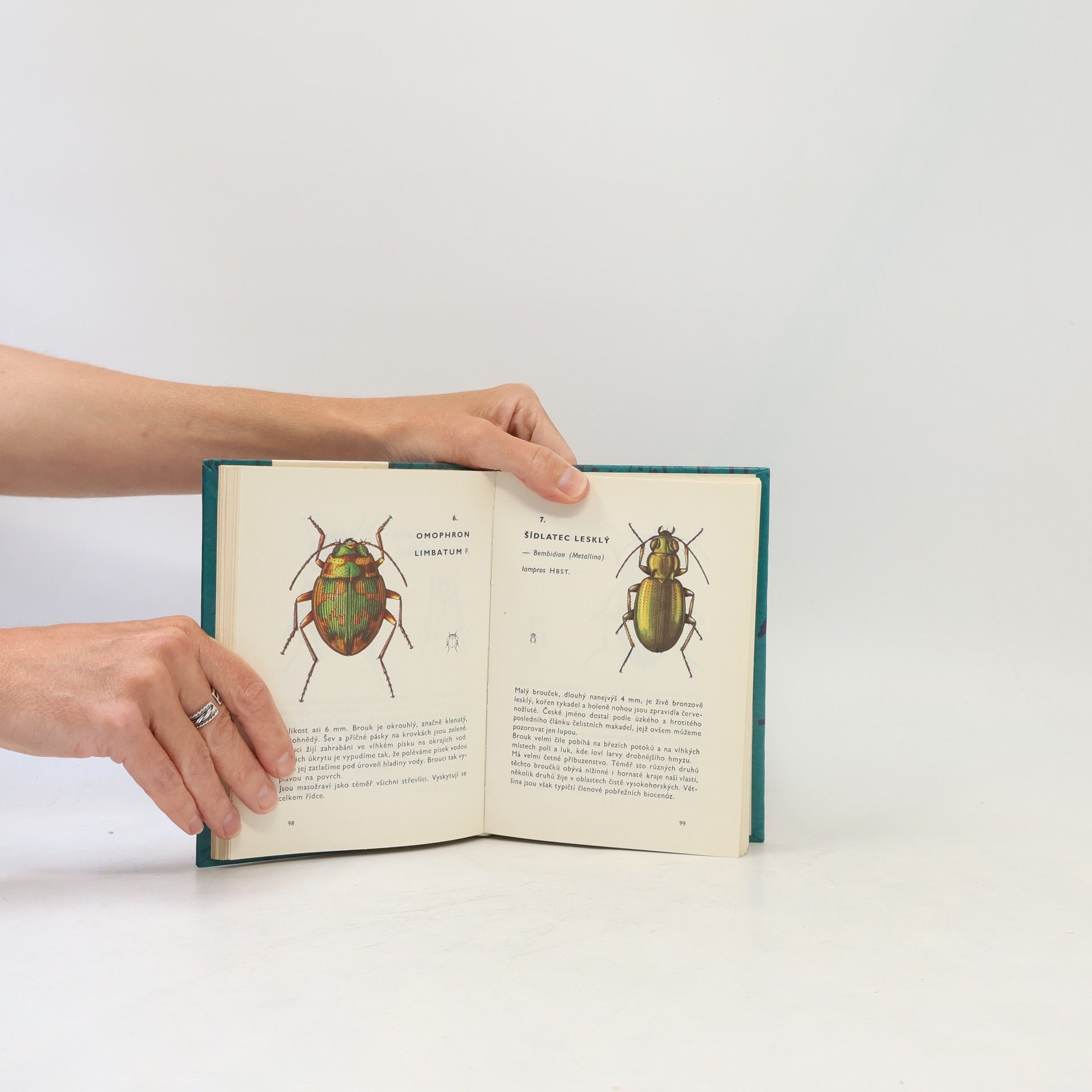 Vladimír Javorek Kapesní atlas brouků