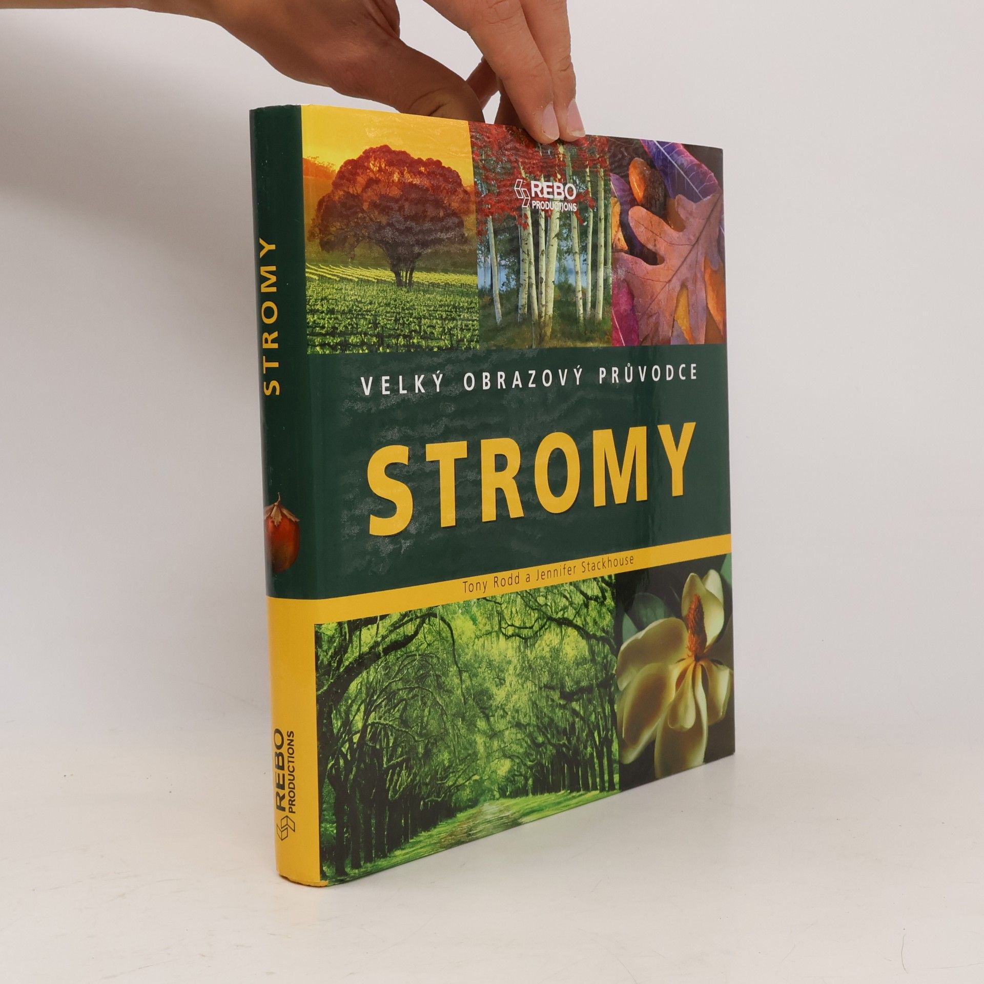 Anthony Norman Rodd Stromy - Velký obrazový průvodce