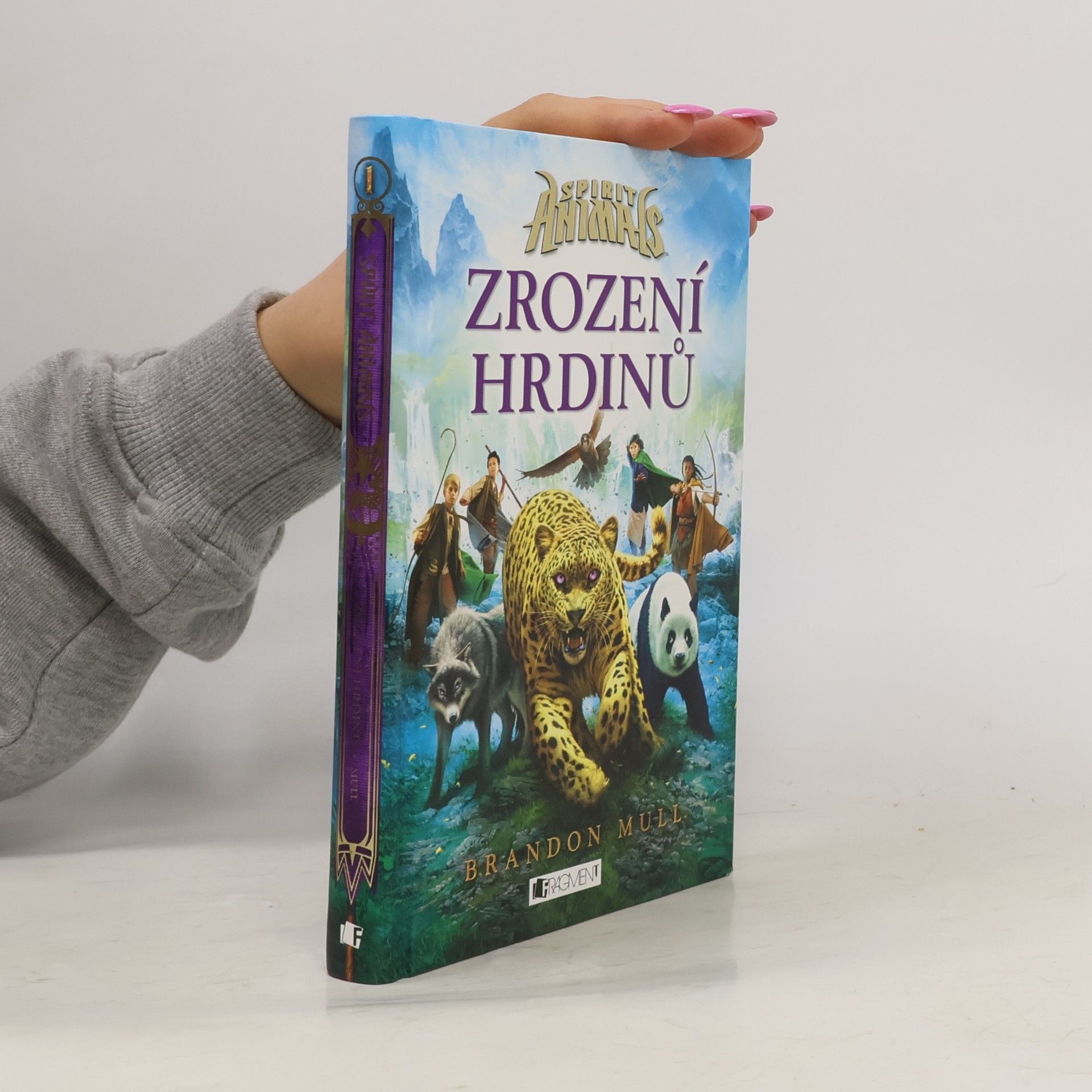 Brandon Mull Zrození hrdinů