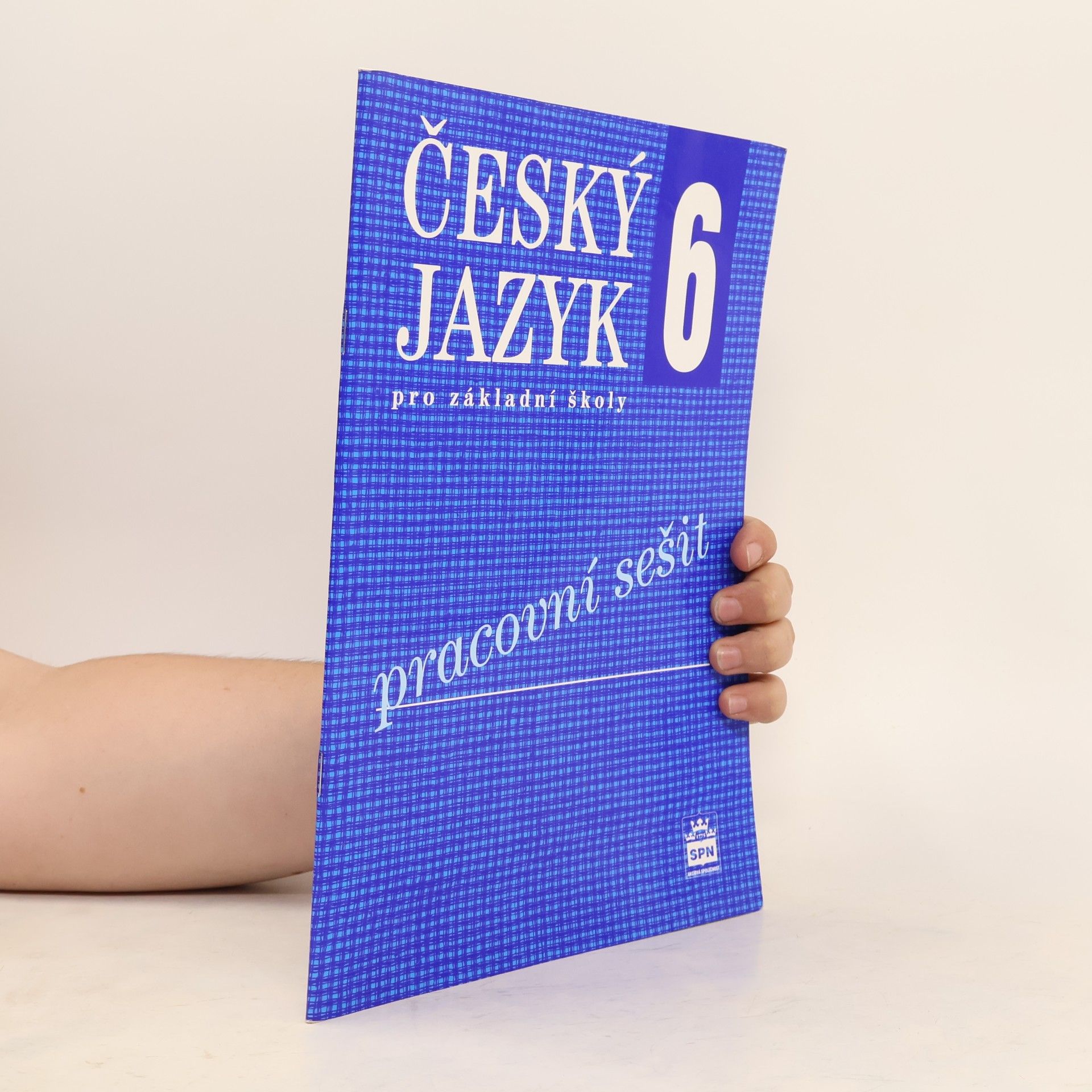 Český jazyk 6 pro základní školy : pracovní sešit