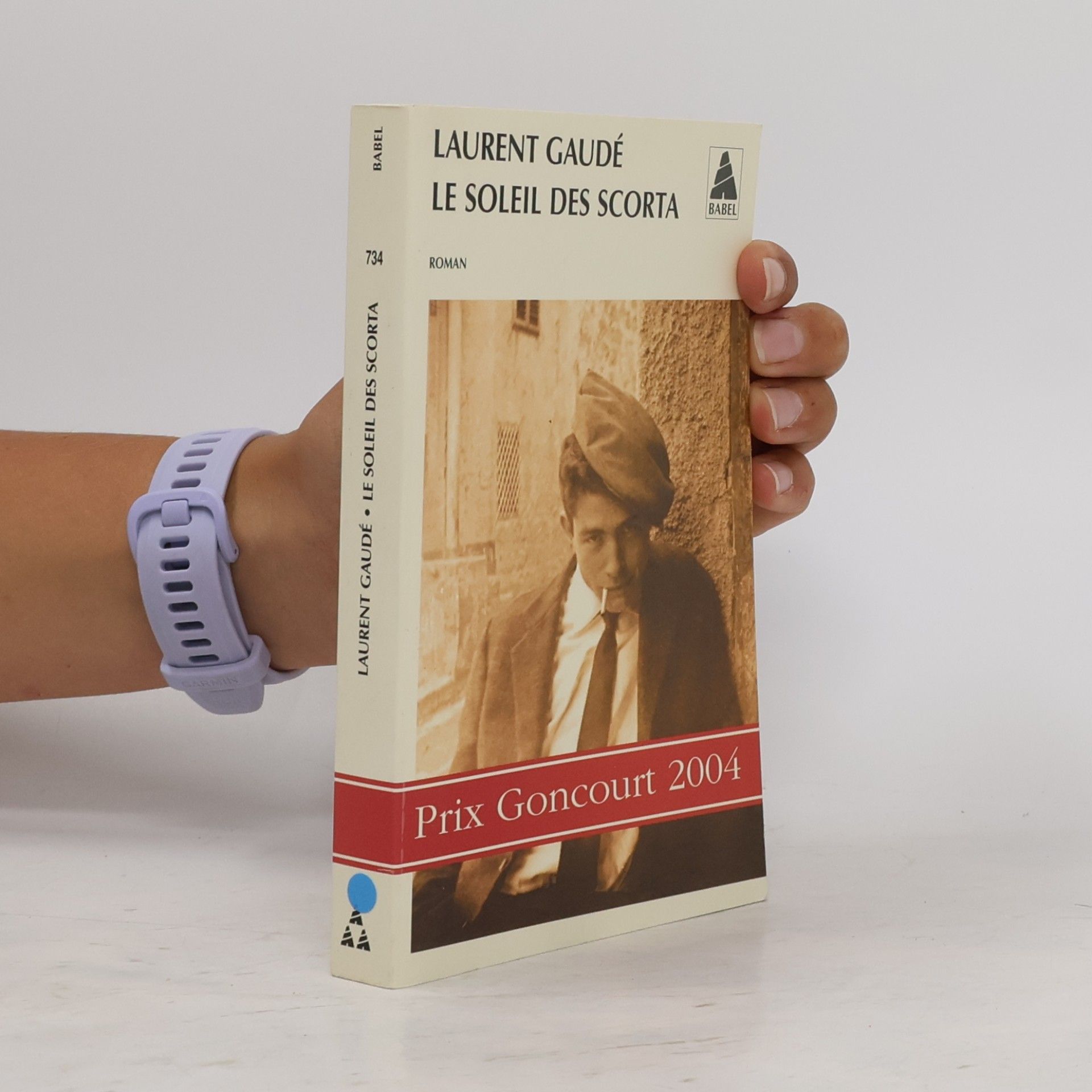 Laurent Gaudé Babel: Le Soleil des Scorta