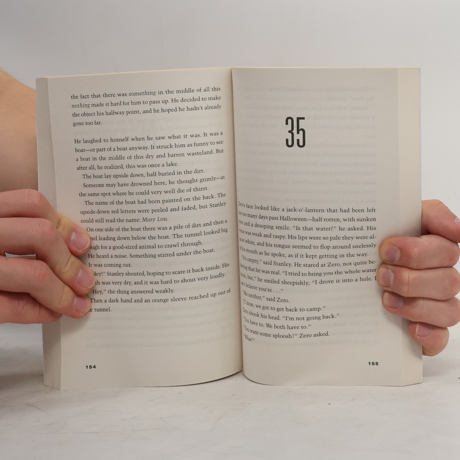 Louis Sachar Holes