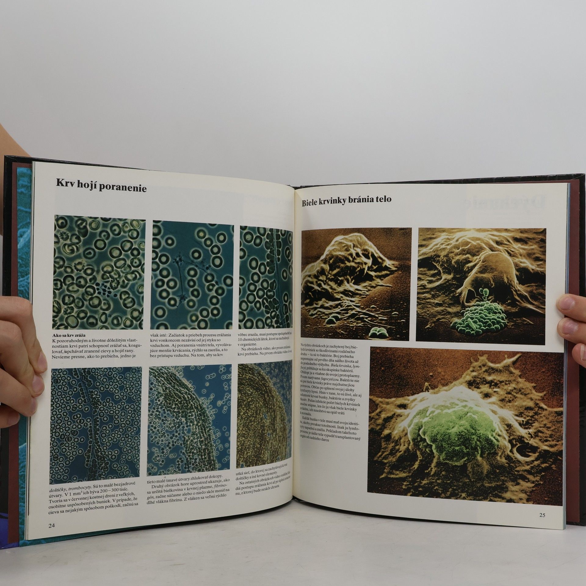 Various authors Ako sa nepoznáme: Objavná cesta s fotografickým aparátom do nášho tela