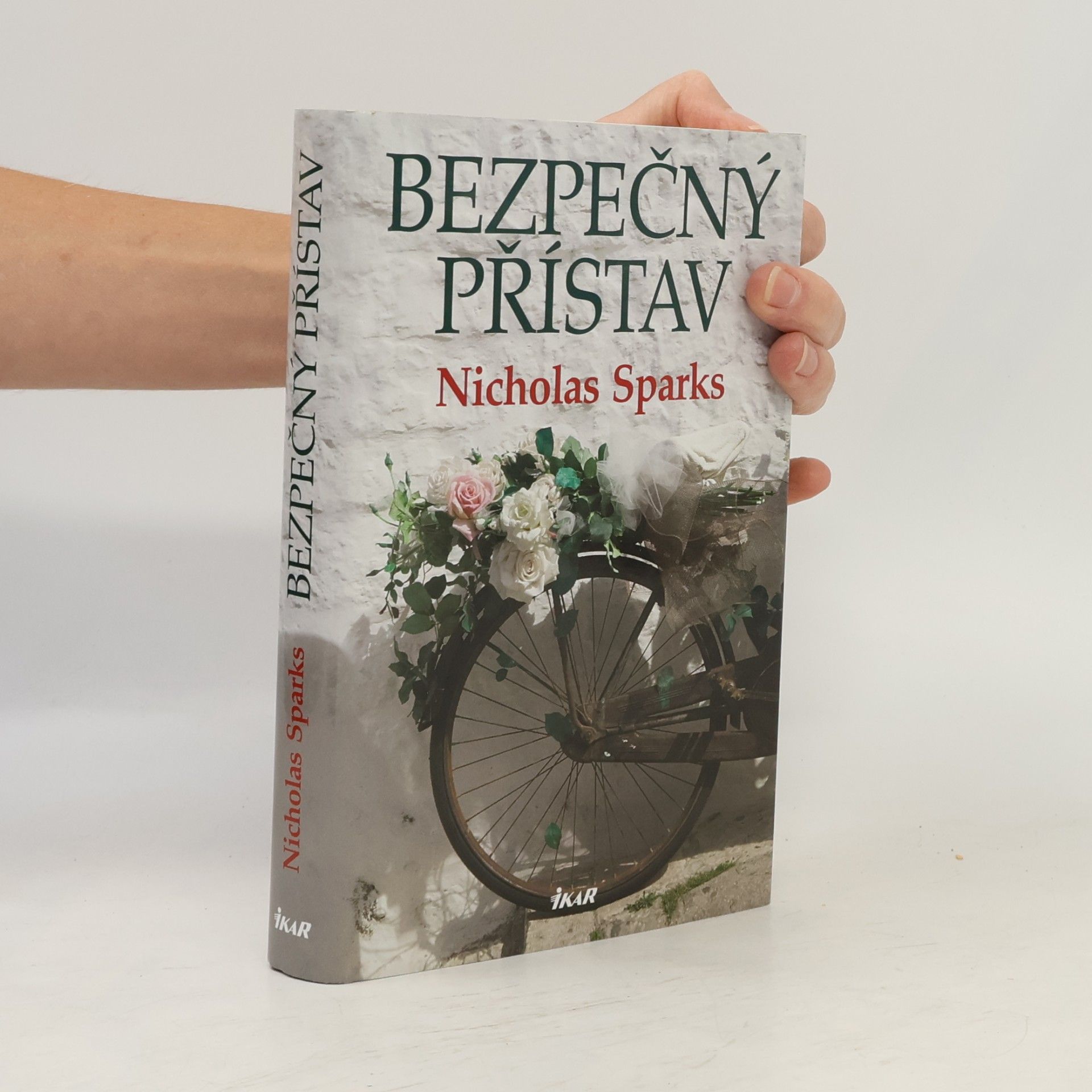 Nicholas Sparks Bezpečný přístav