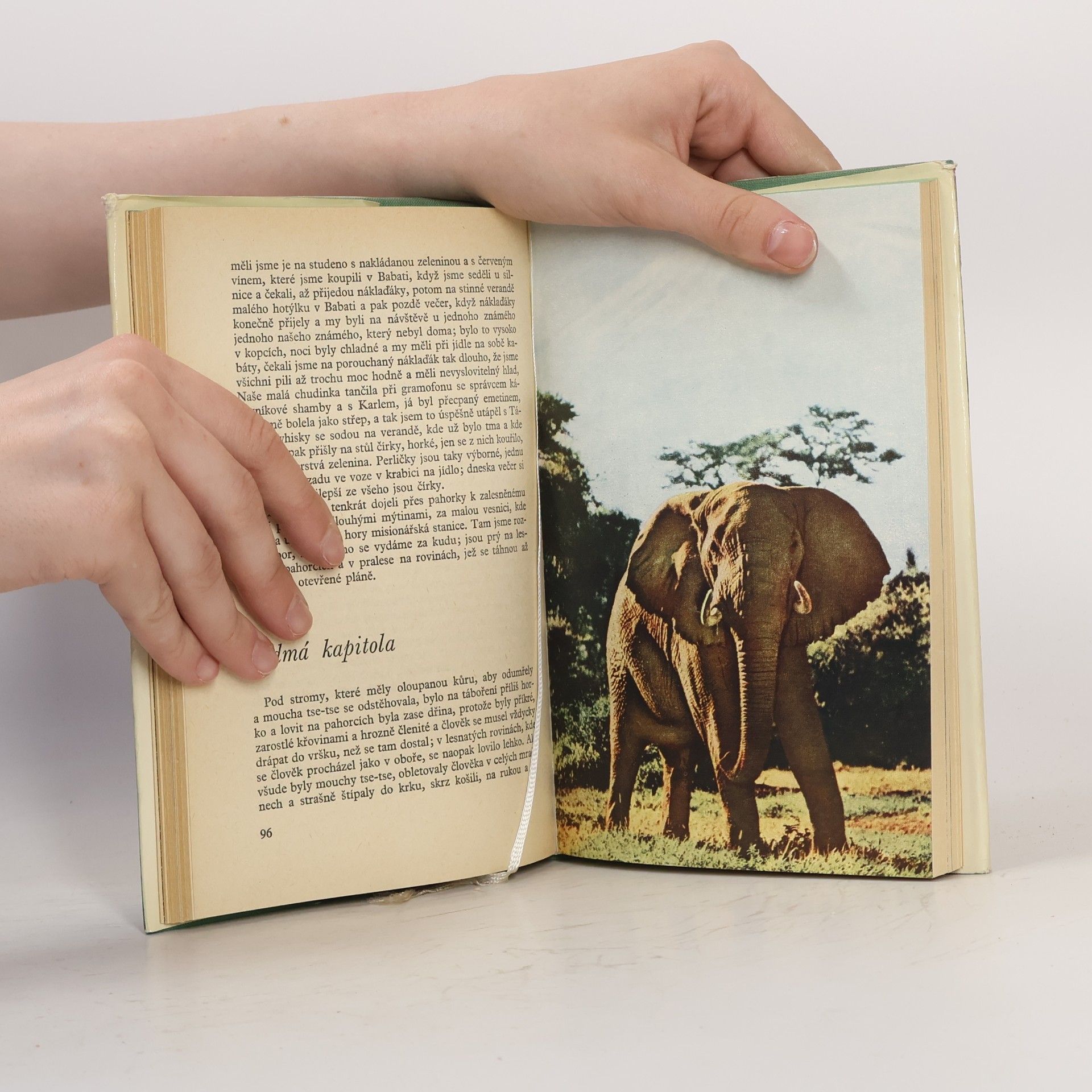 Ernest Hemingway Zelené pahorky africké