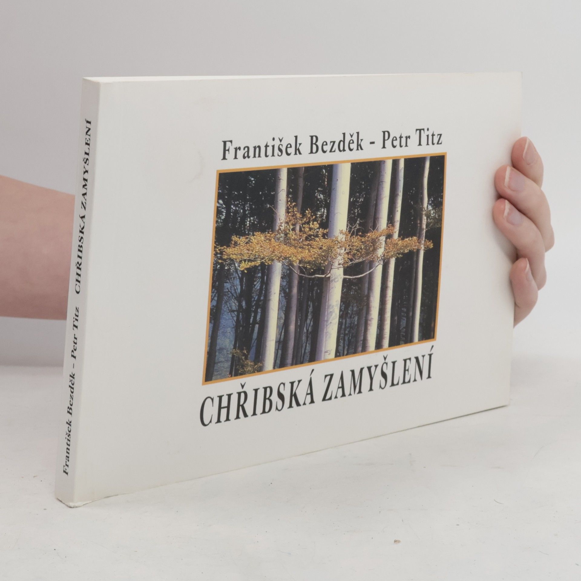 František Bezděk Chřibská zamyšlení