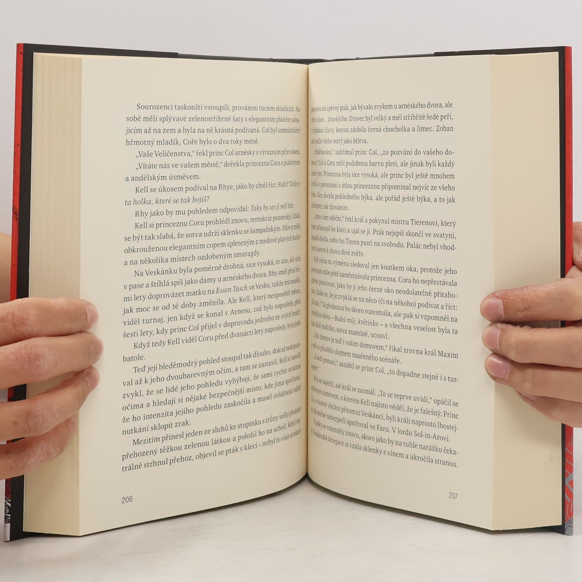 V. E. Schwab Setkání stínů