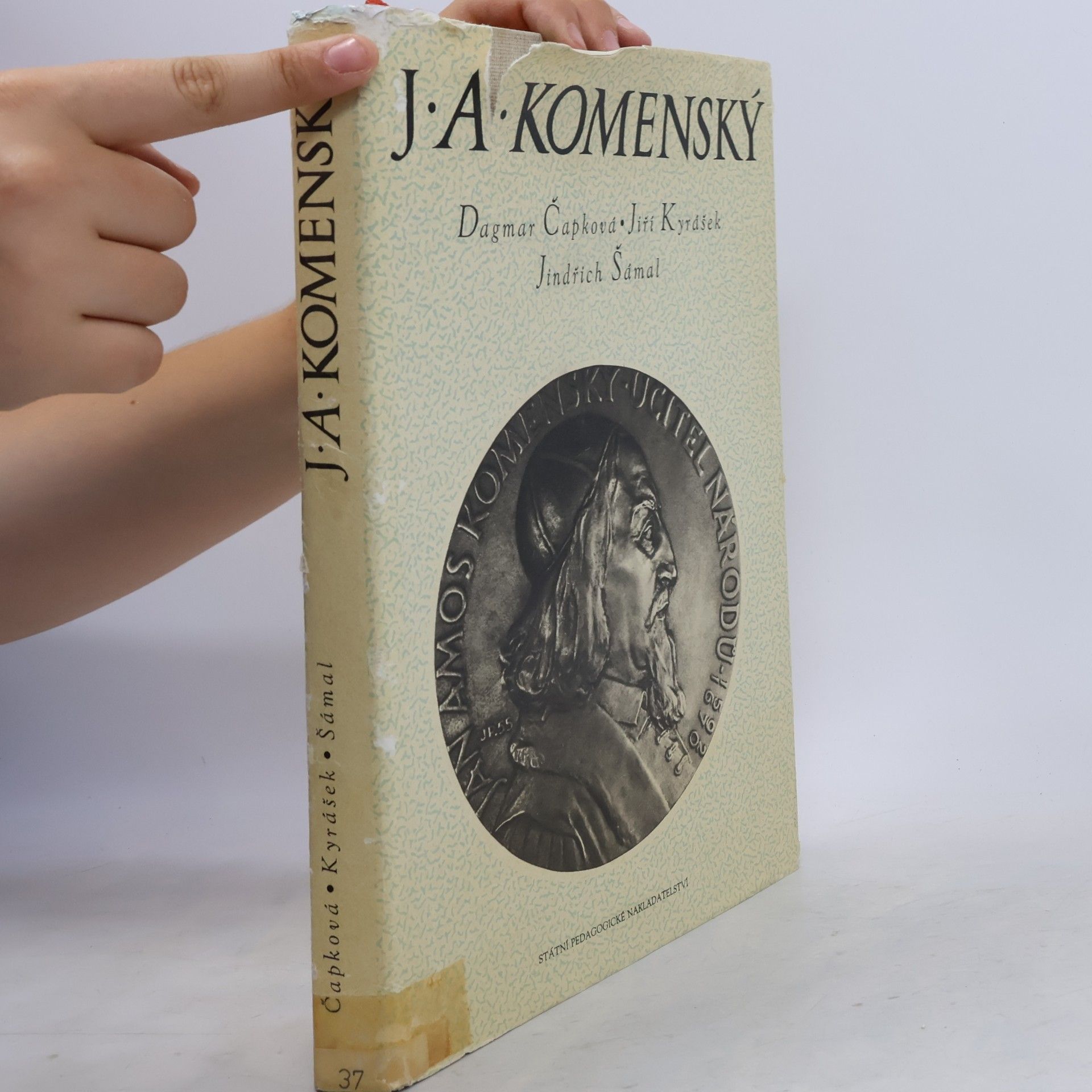 Dagmar Čapková Jan Amos Komenský. Život a dílo v dokumentech a v českém výtvarném umění