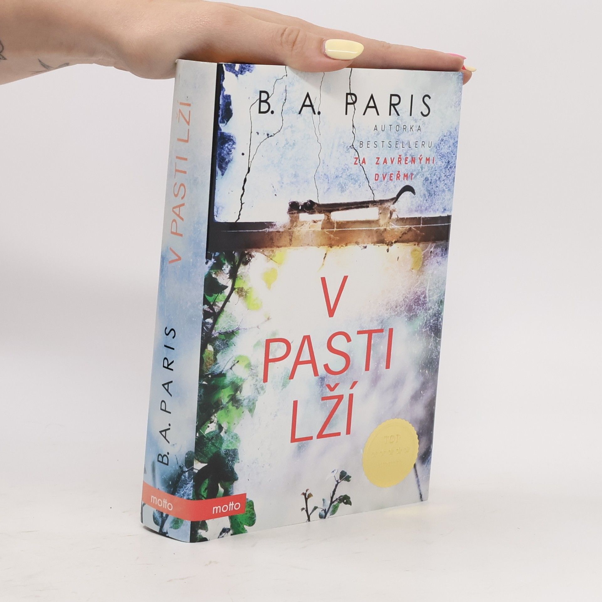 B.A. Paris V pasti lží