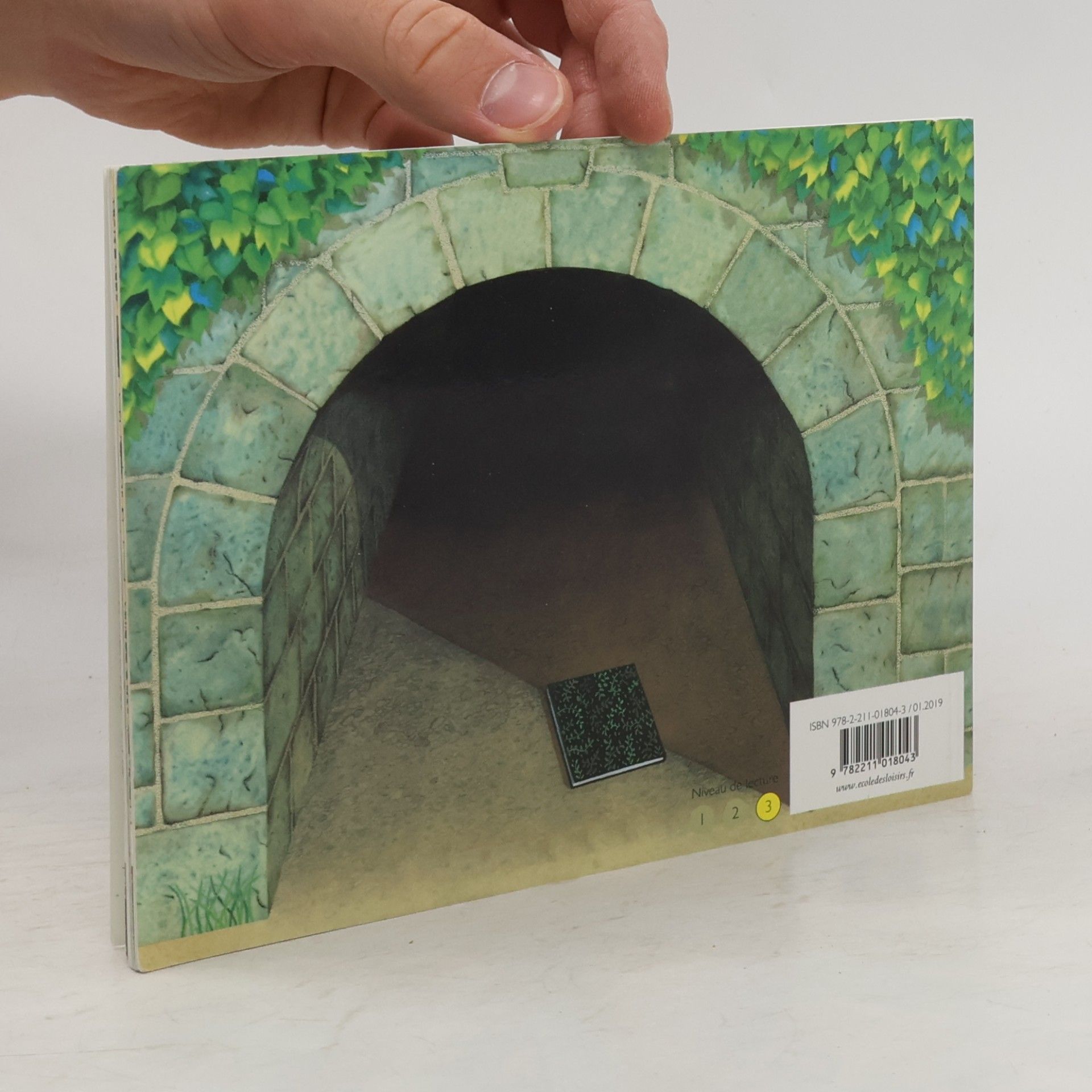 Anthony Browne Le tunnel