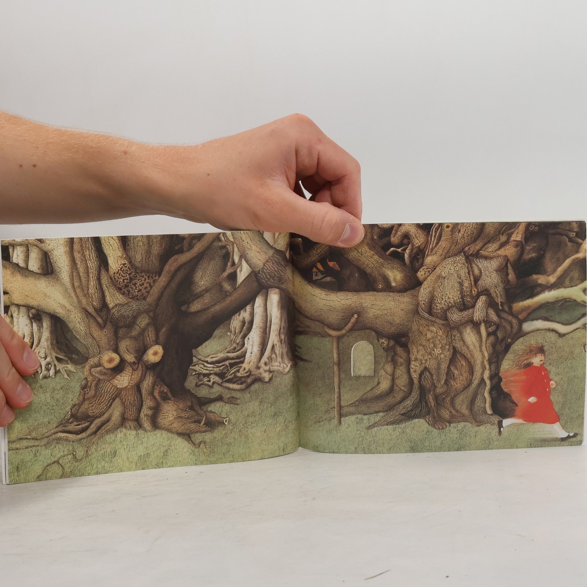 Anthony Browne Le tunnel