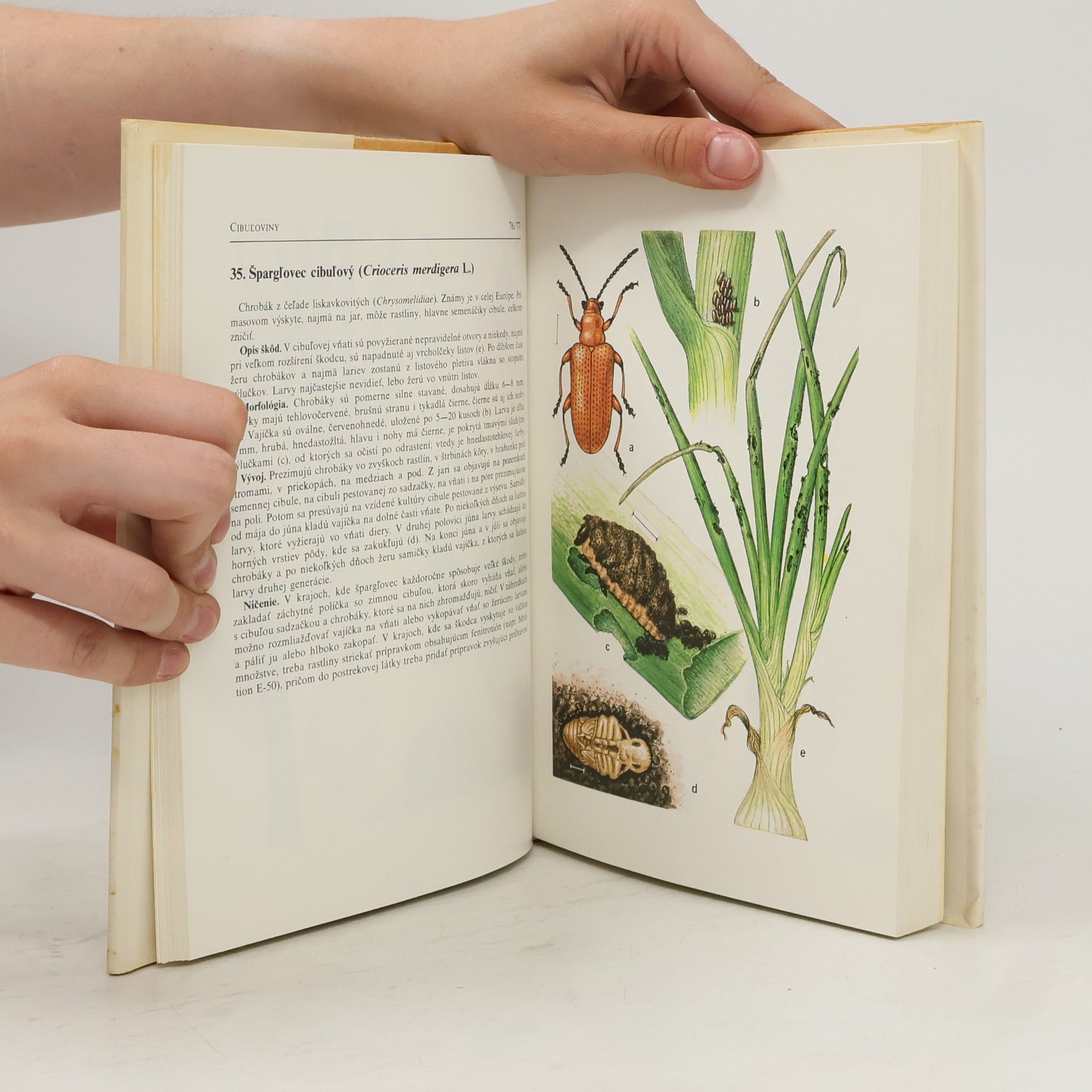 A. Studziňski Atlas chorôb a škodcov zeleniny